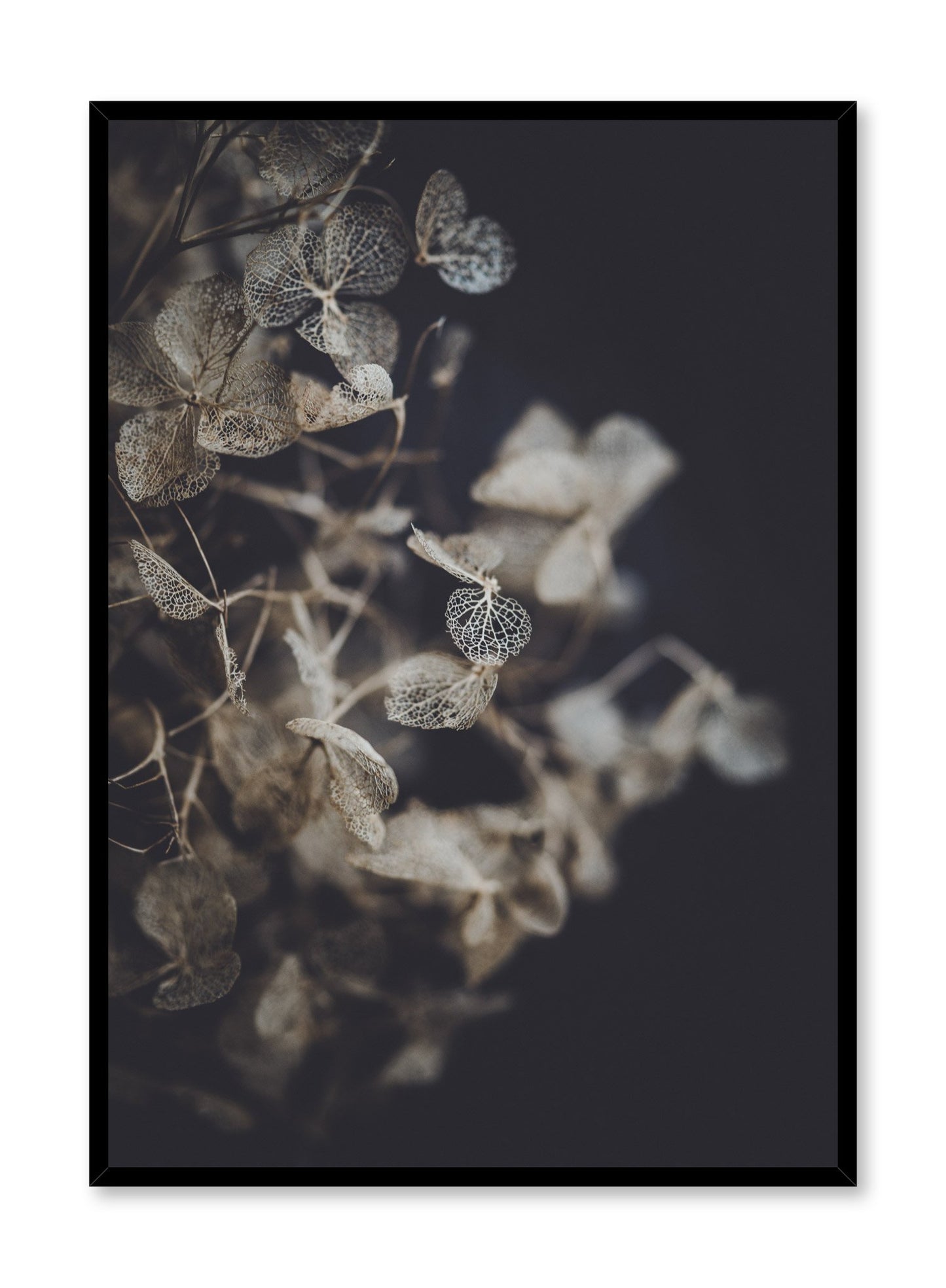Minimalist design poster by Opposite Wall with Hydrangea photography
