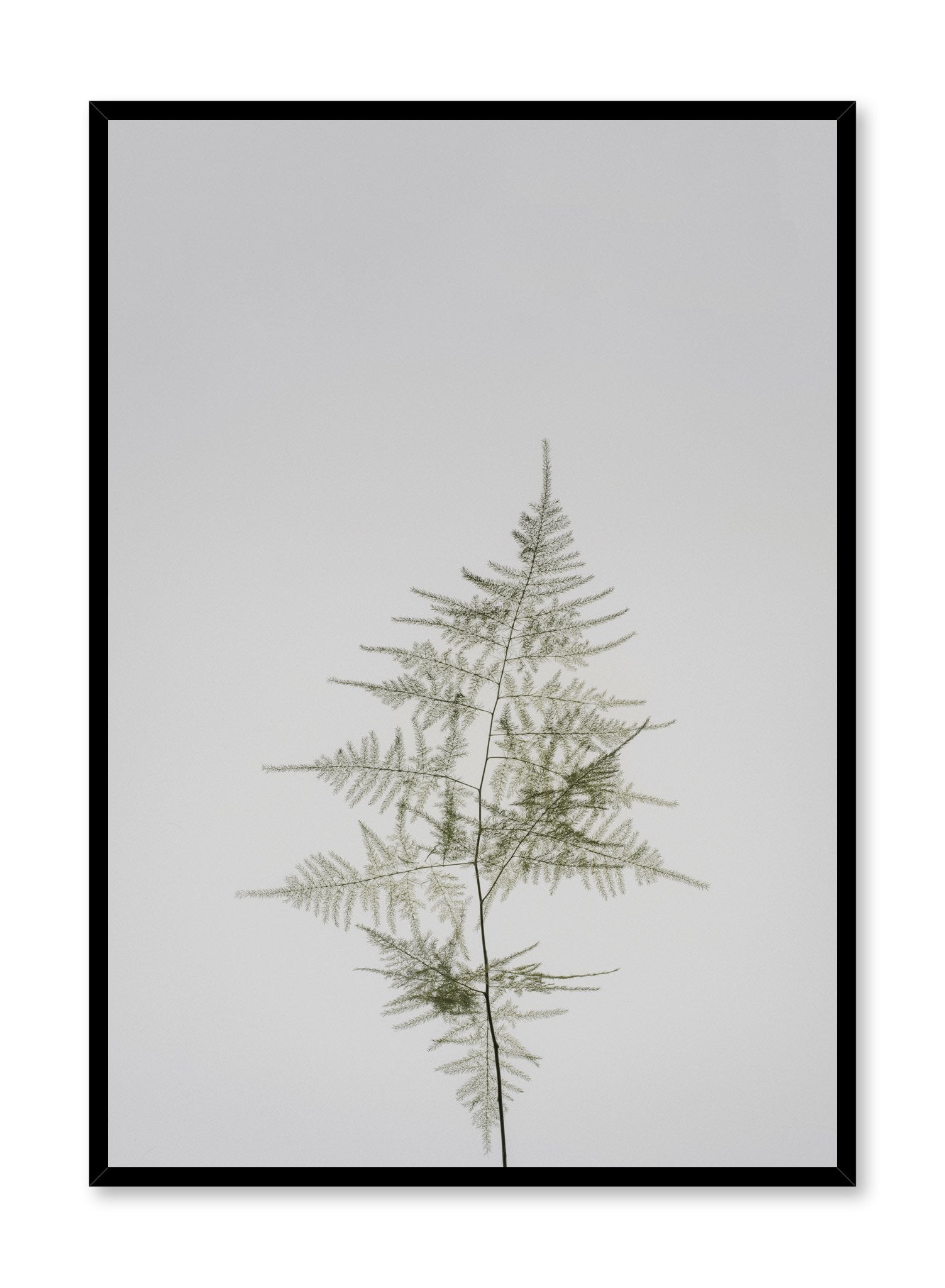 Minimalist design poster by Opposite Wall with Young Fern photography