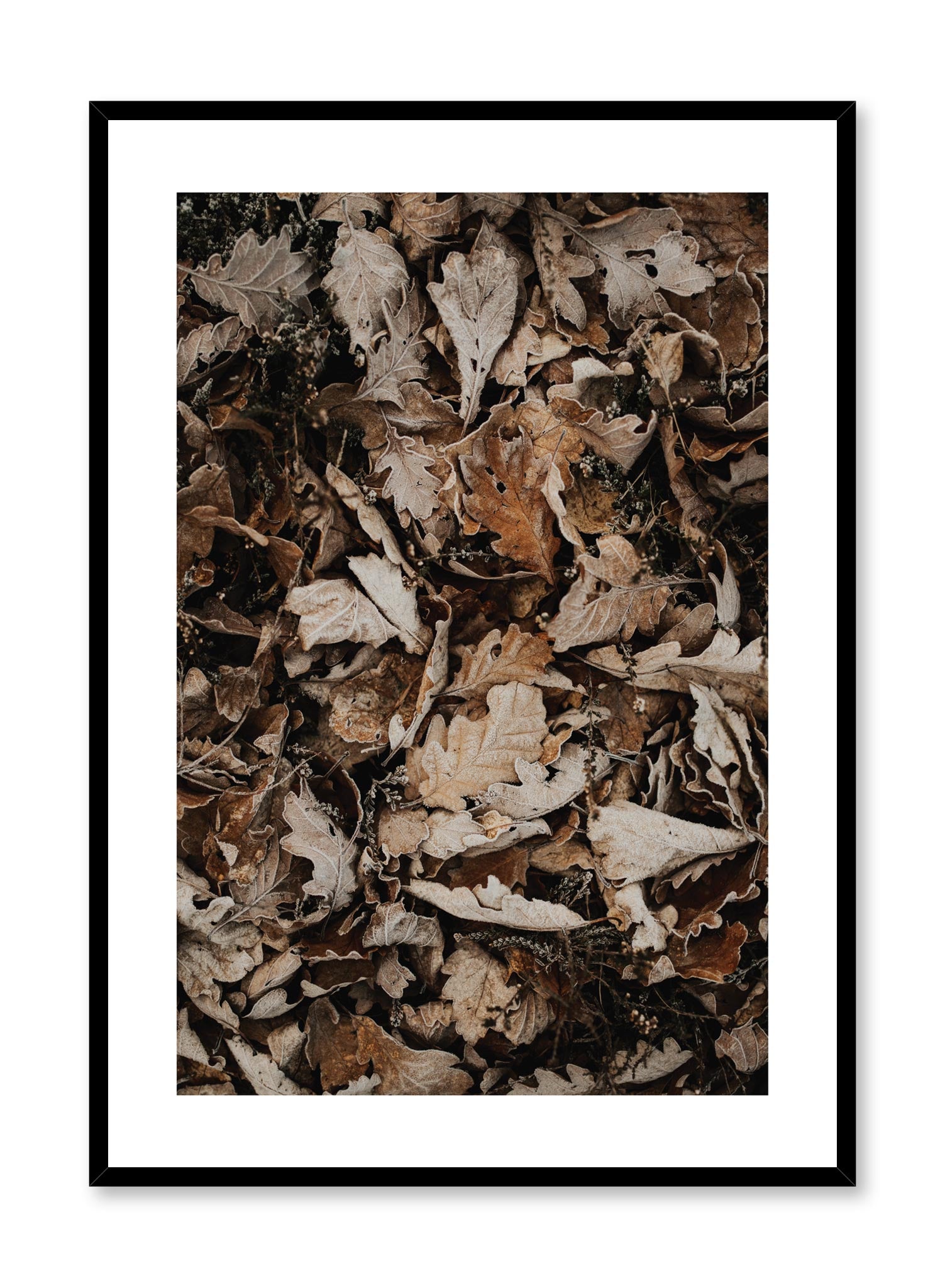 Minimalist design poster by Opposite Wall with Autumn Leaves photography