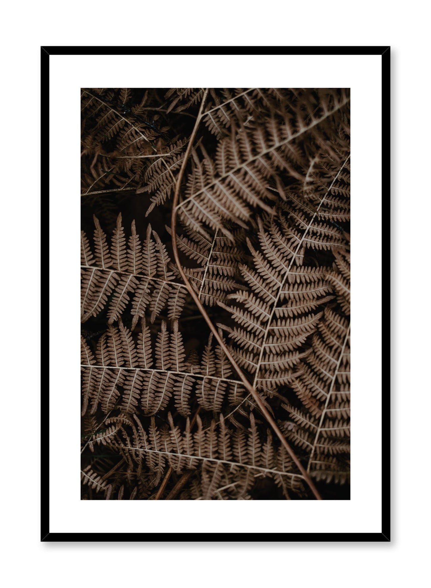 Minimalist design poster by Opposite Wall with Fern plant photography