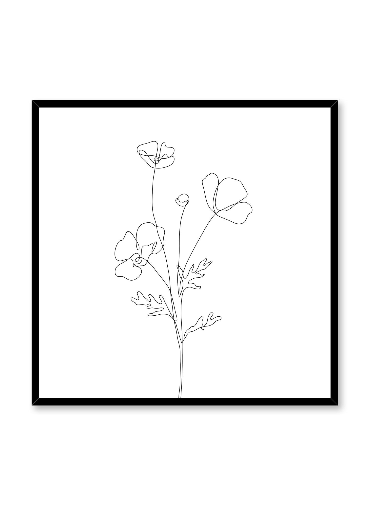 Minimalist design poster by Opposite Wall with line art drawing of poppy in square format