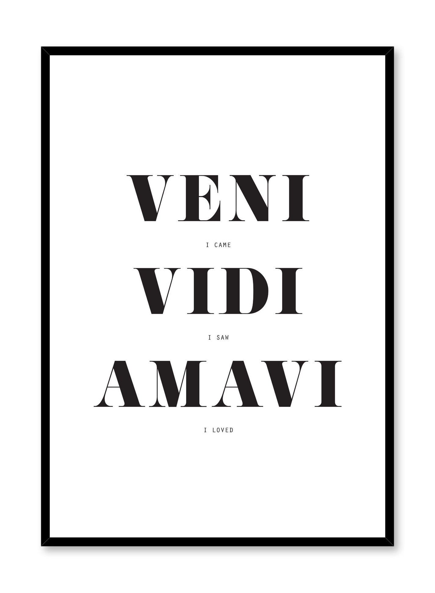 Veni Vidi Amavi Motivational Typography Print | Buy at Opposite Wall