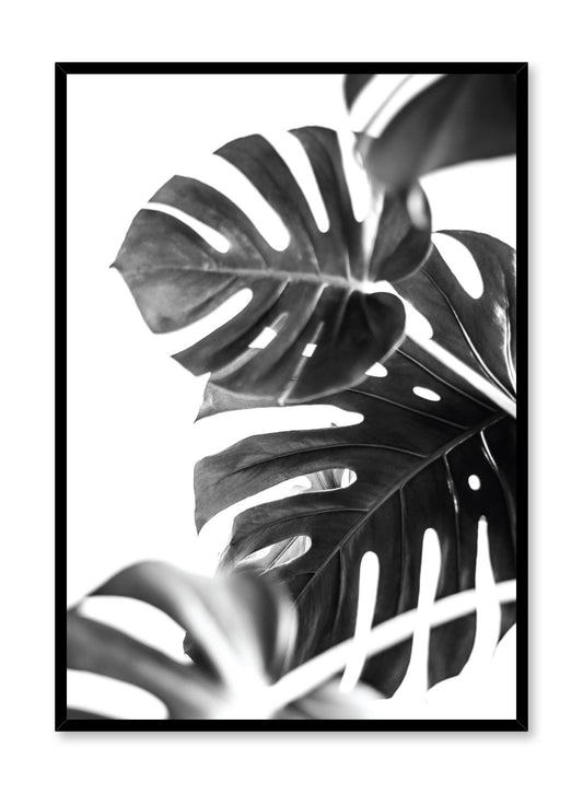 Modern minimalist art print by Opposite Wall with Monstera leaves art photo design in black and white