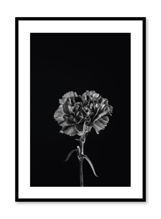 Modern minimalist poster by Opposite Wall with trendy black floral photography