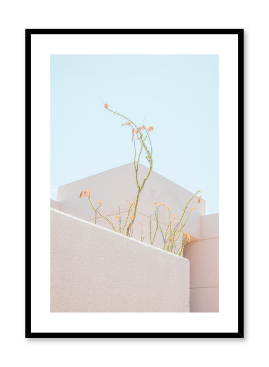 Minimalist design poster by Opposite Wall with landscape photography of feathery plants in rooftop