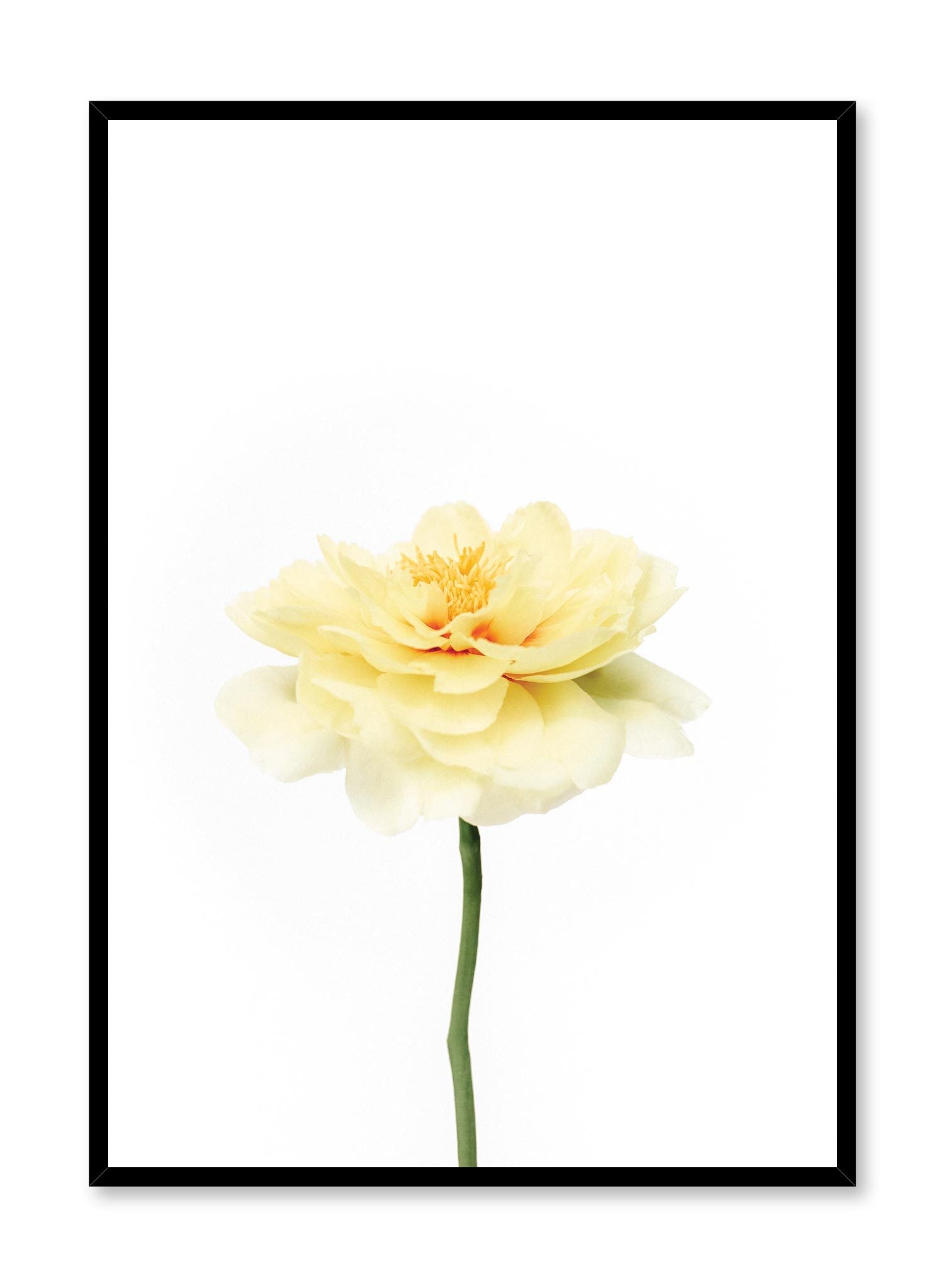 Minimalistic wall poster by Opposite Wall with Petal Burst floral photography