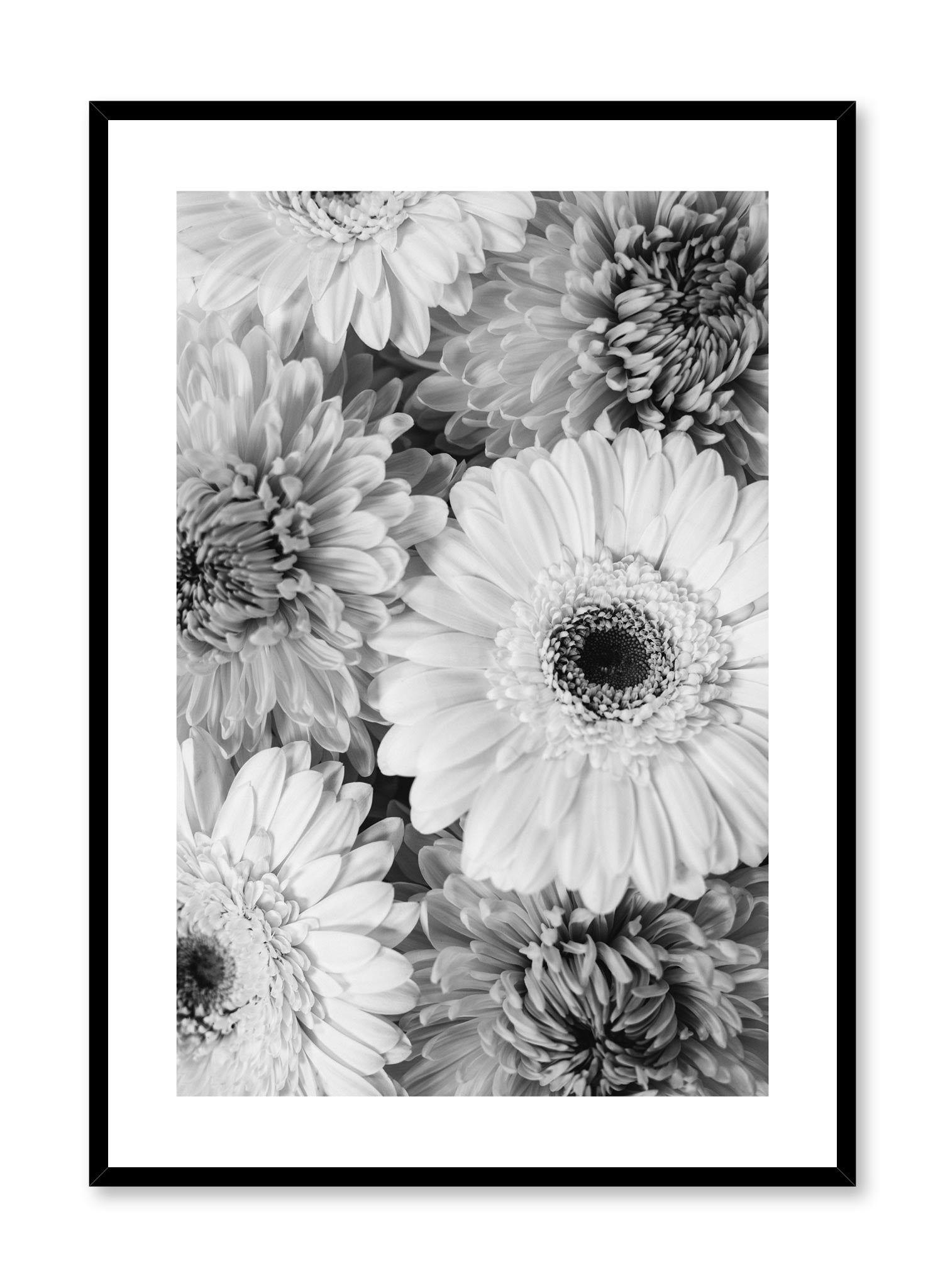 Minimalistic wall poster by Opposite Wall with bouquet of gerberas floral photography