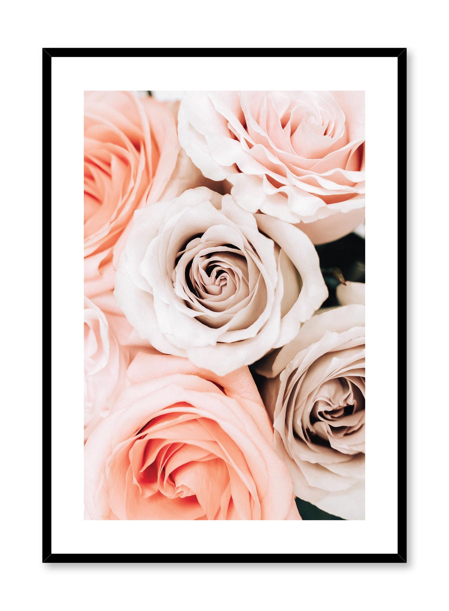 Minimalistic wall poster by Opposite Wall with bouquet of roses floral photography