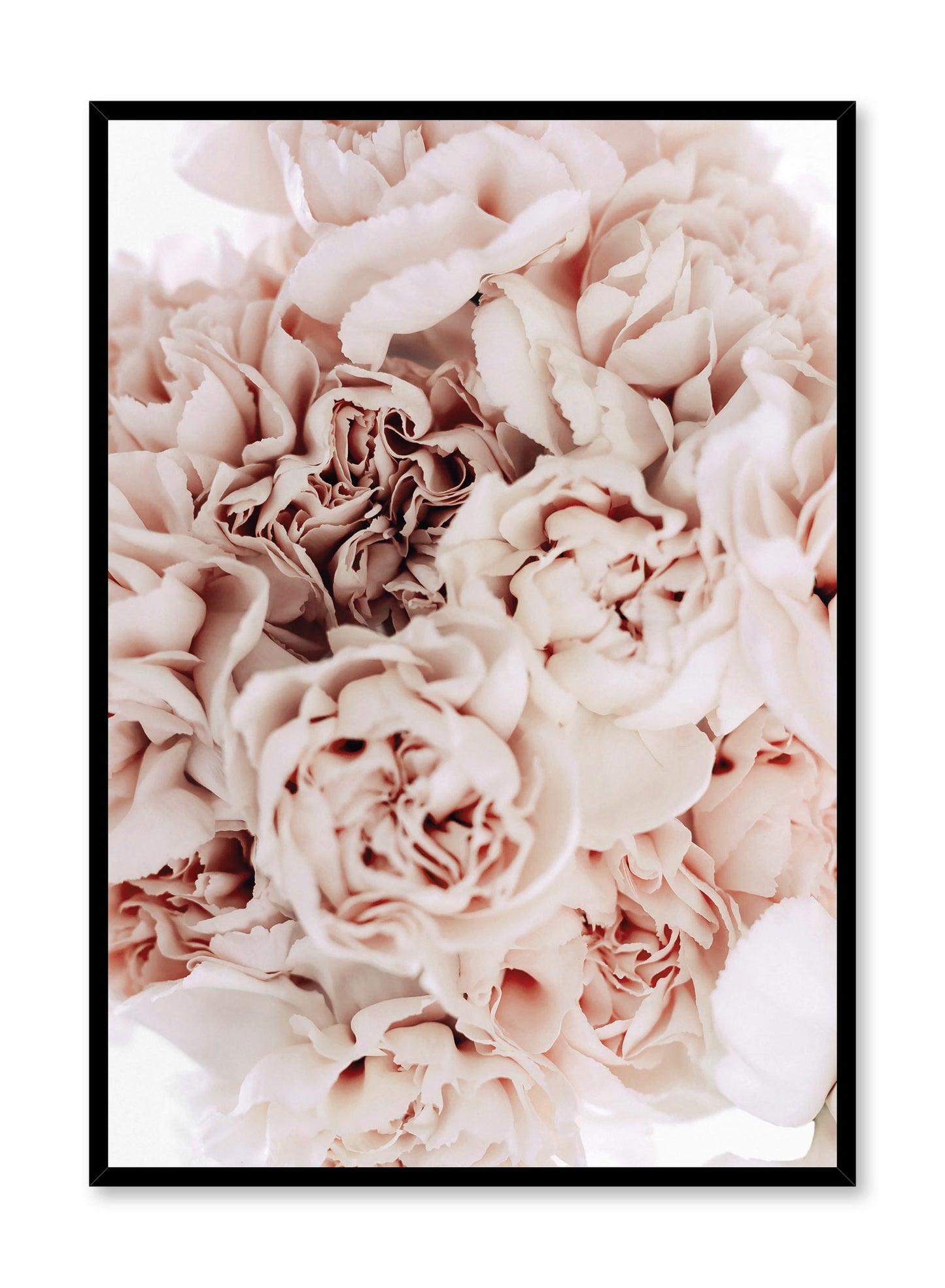 Minimalistic wall poster by Opposite Wall with bouquet of peonies floral photography