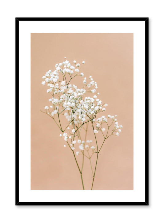 Minimalistic wall photography by Opposite Wall with Baby's Breath flower