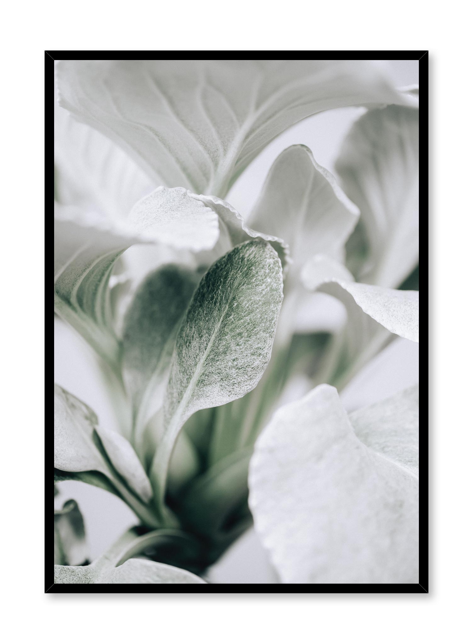 Minimalistic wall poster by Opposite Wall with elegant leaves botanical photography