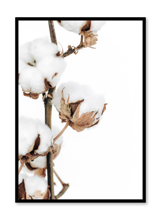 Minimalistic wall poster by Opposite Wall with cotton branch botanical photography