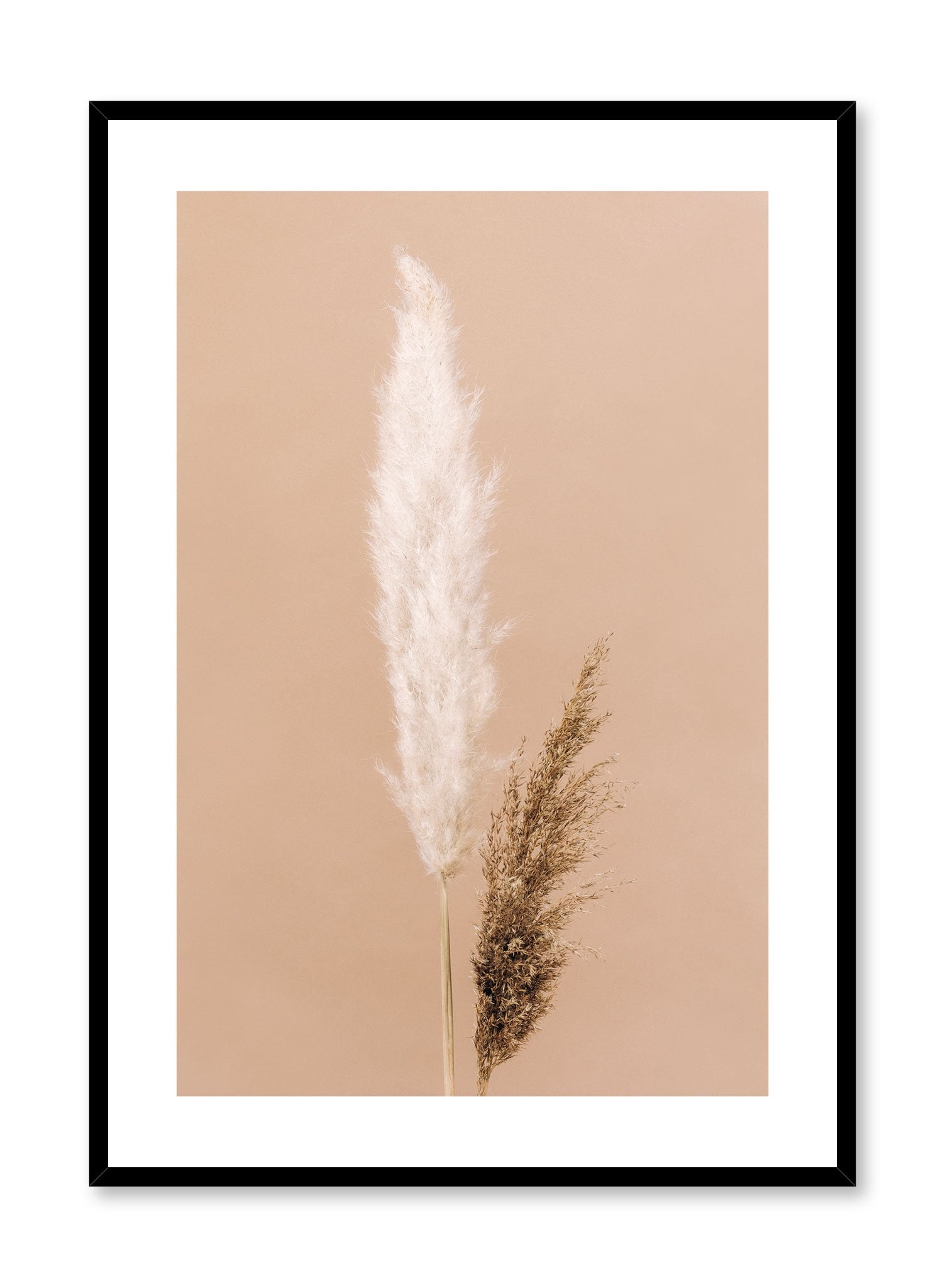 Minimalist wall poster by Opposite Wall with two-toned grasses botanical photography