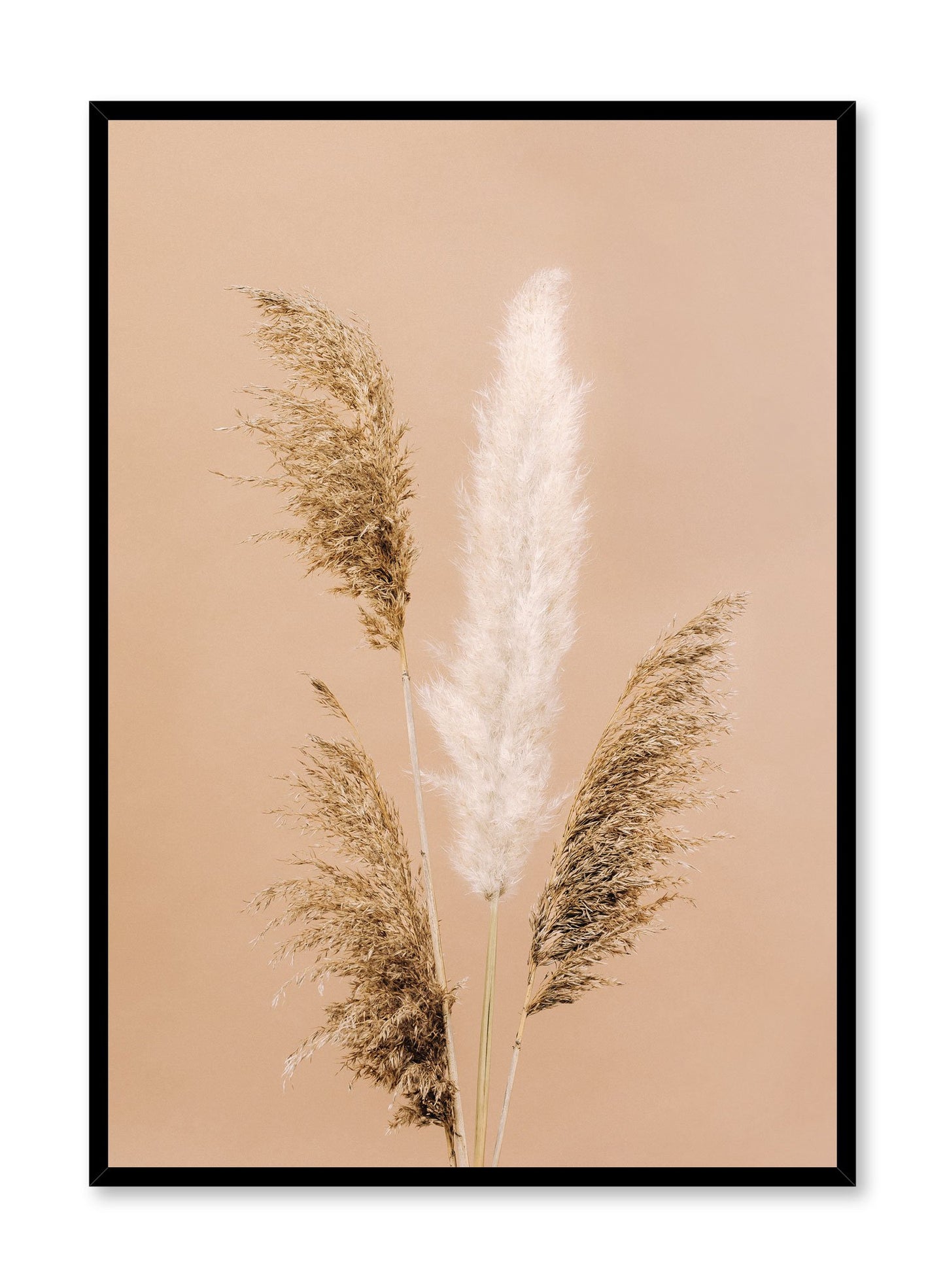 Minimalistic wall poster by Opposite Wall with Gathering of Grasses botanical photography