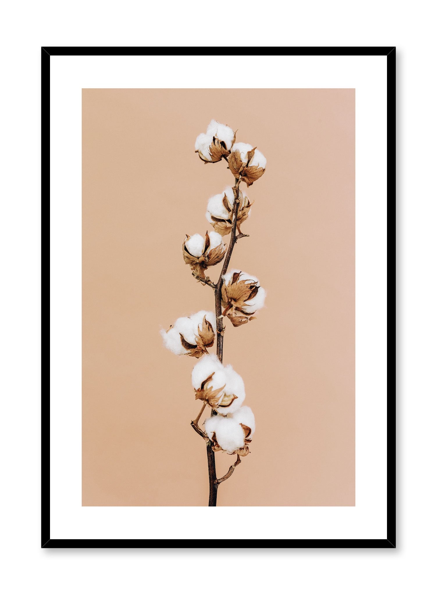 Minimalistic wall poster by Opposite Wall with cotton branch photography