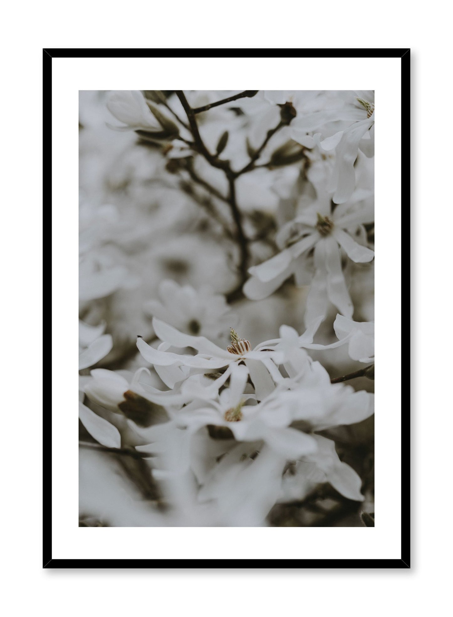 Minimalist design poster by Opposite Wall with bed of flowers photography