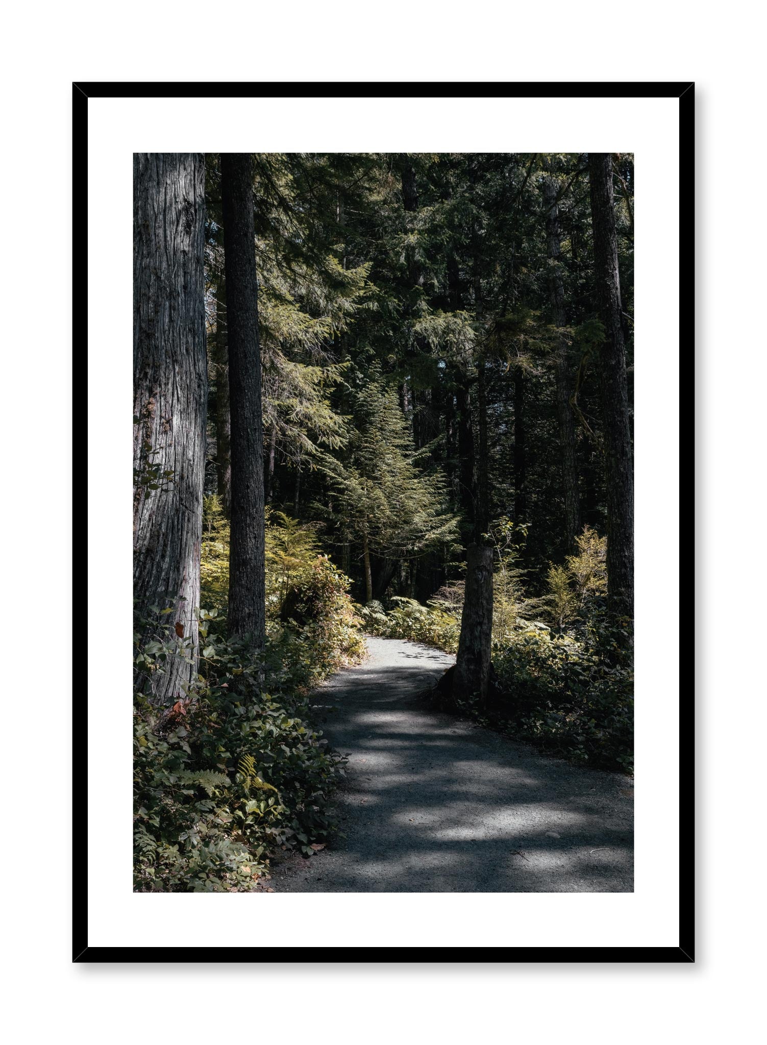 Minimalist design poster by Opposite Wall with nature photography of Vancouver Island Bright Days forest path