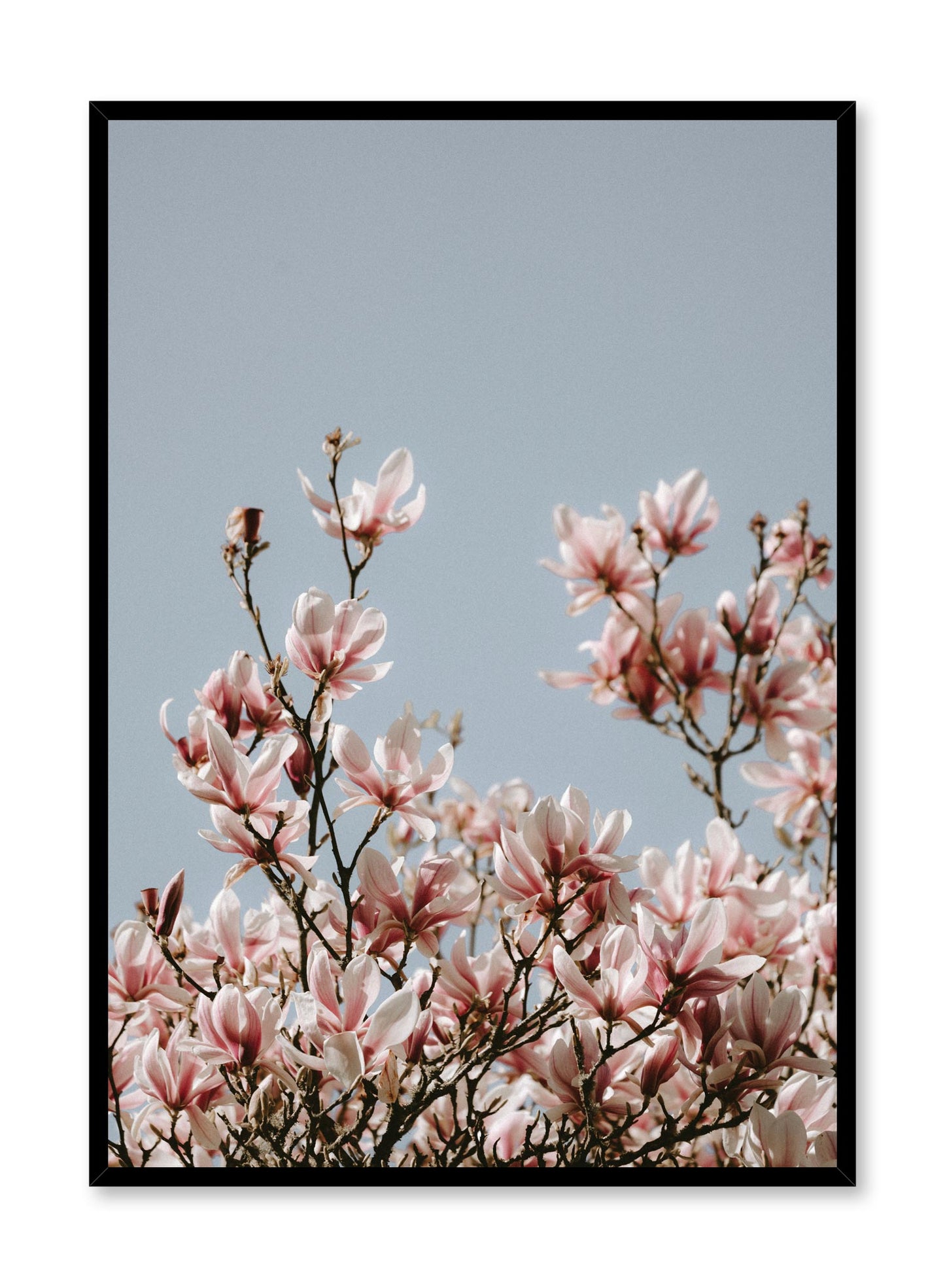 Minimalist design poster by Opposite Wall with Soaring Flowers floral photography
