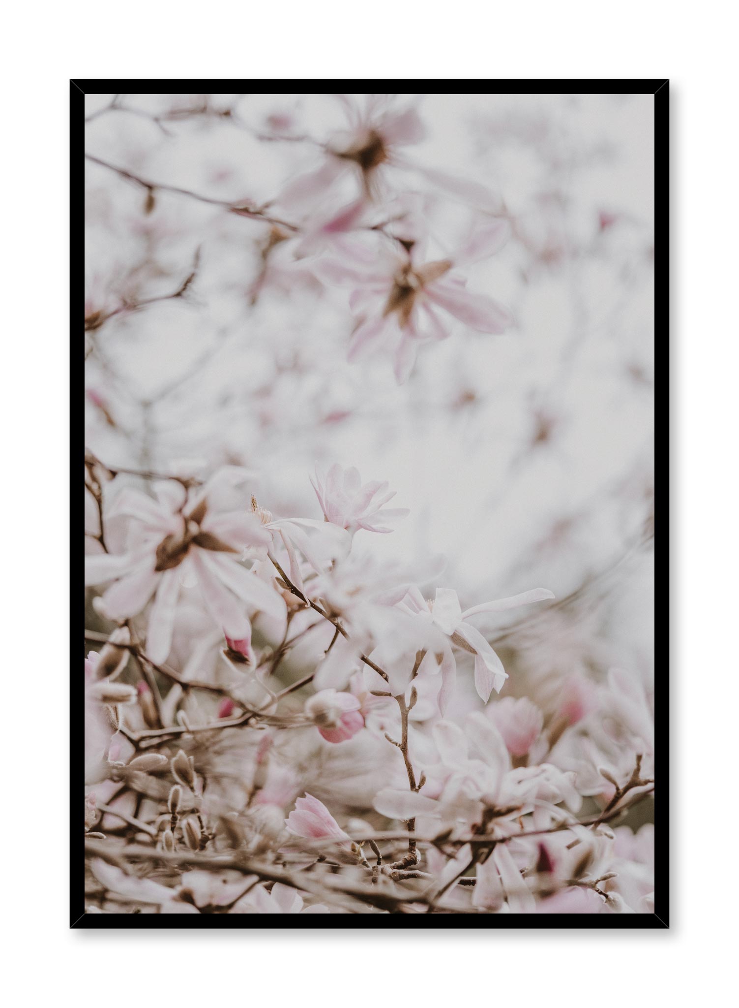 Minimalist design poster by Opposite Wall with Bird view floral photography