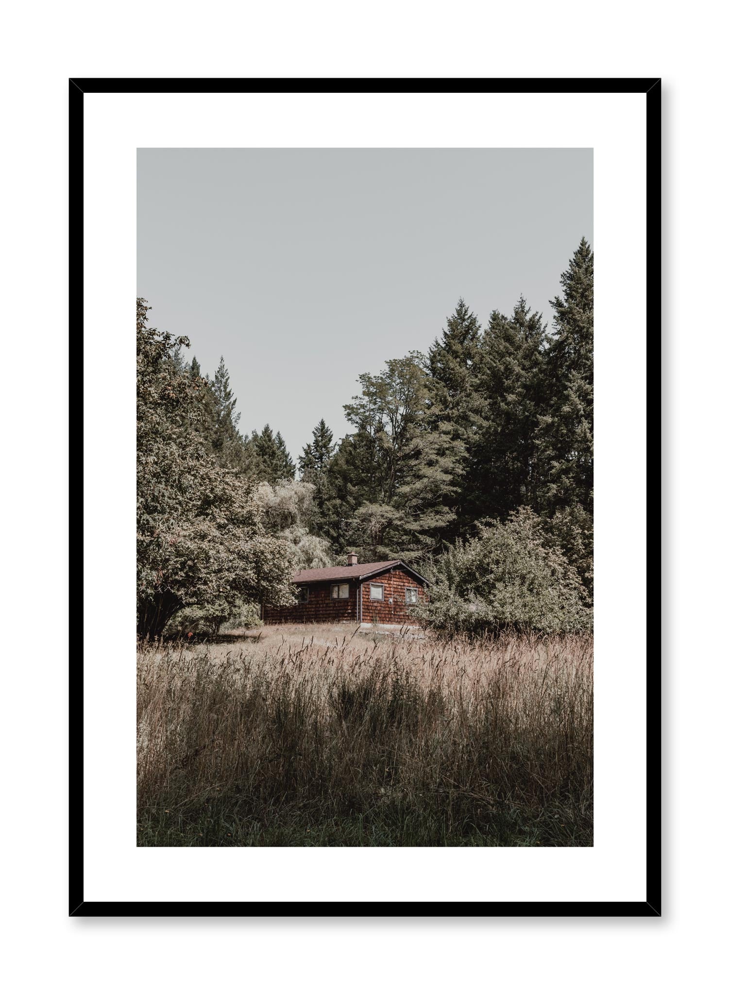 Minimalist design poster by Opposite Wall with nature photography of Vancouver Island Cottage in the forest