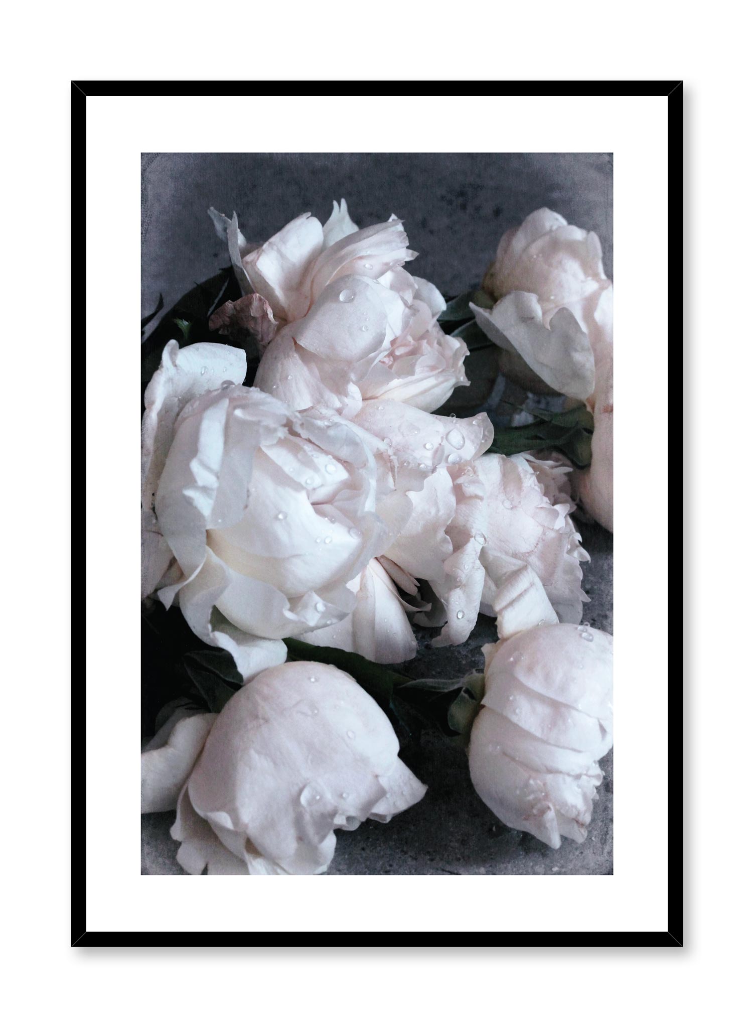 Minimalist design floral photography poster of Roses on Sand by Love Warriors Creative Studio - Buy at Opposite Wall