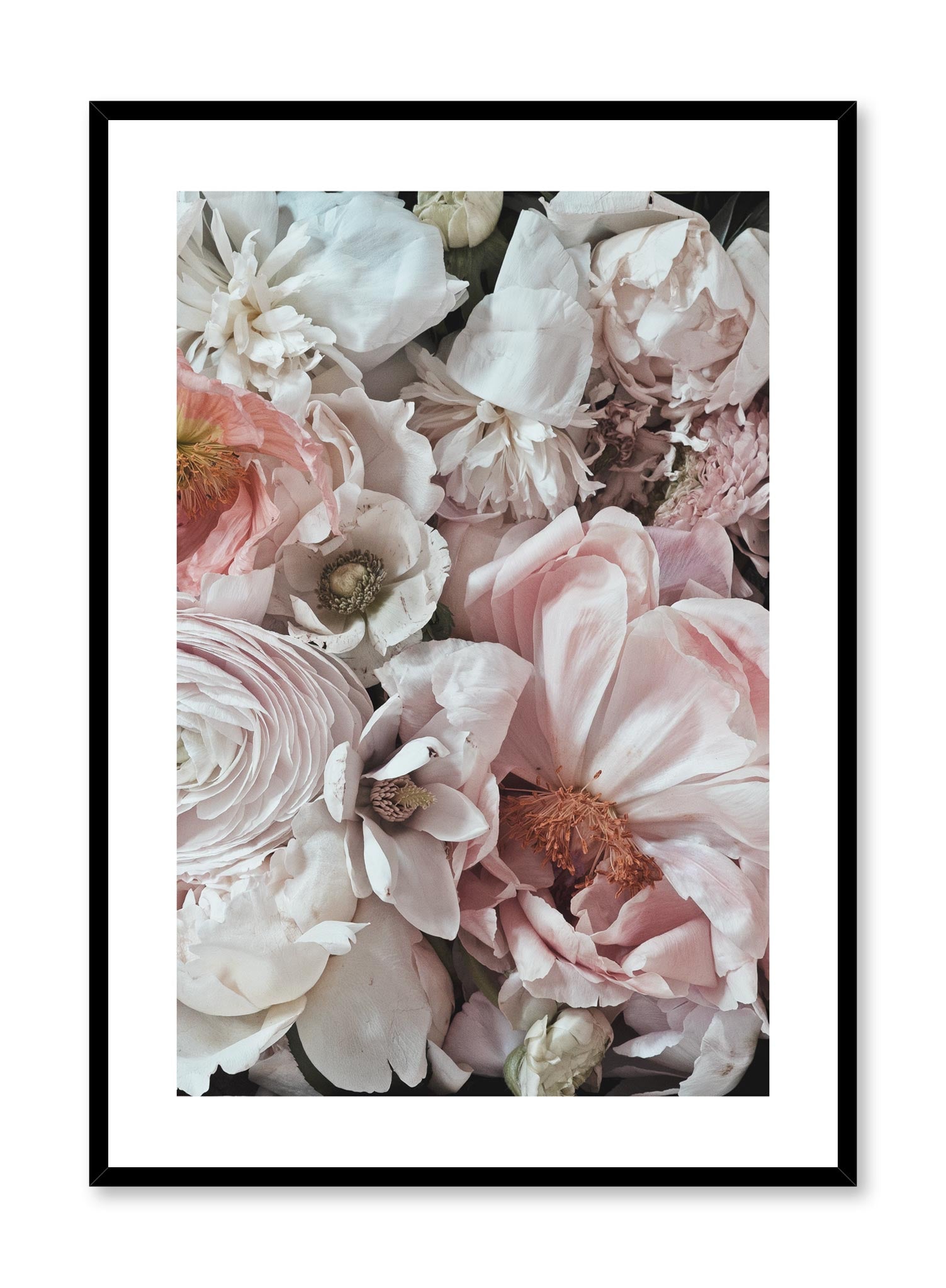 Minimalist design floral photography poster of Petals by Love Warriors Creative Studio - Buy at Opposite Wall