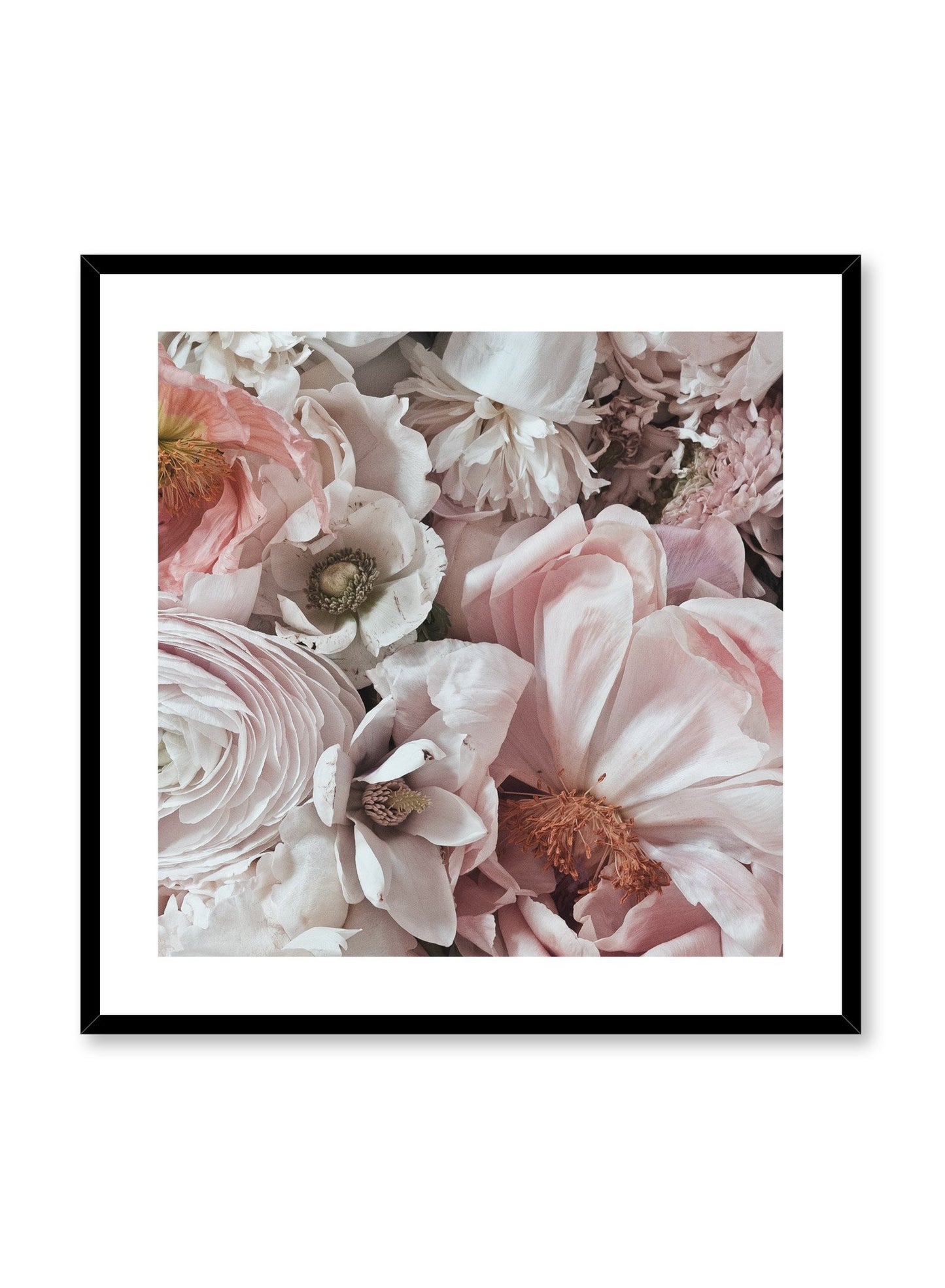 Minimalist design floral photography squared poster of Petals by Love Warriors Creative Studio - Buy at Opposite Wall