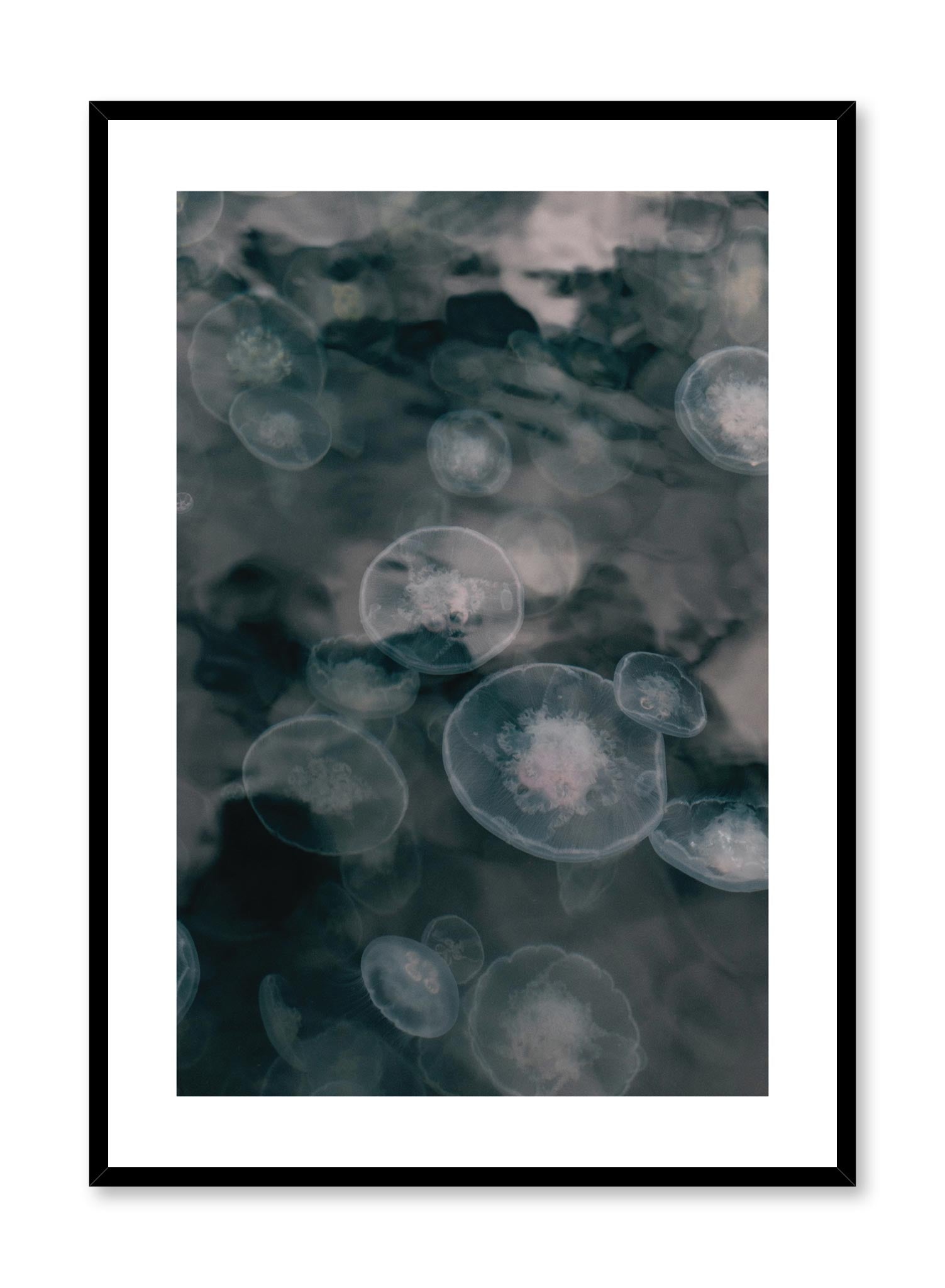 Minimalist design poster by Opposite Wall with nature photography of Vancouver Island Jellyfish in the ocean