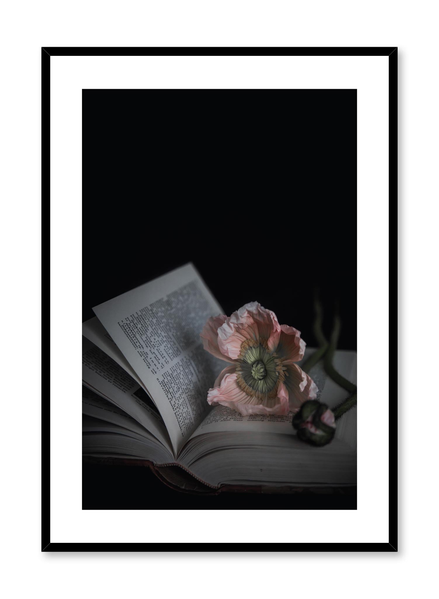 Minimalist design floral photography poster of Flowermark by Love Warriors Creative Studio - Buy at Opposite Wall