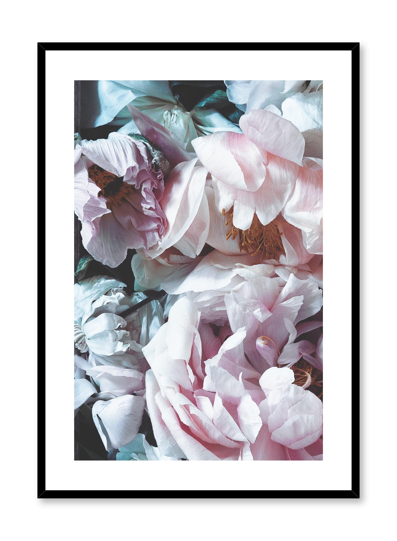 Minimalist design floral photography poster of Droopy Petals by Love Warriors Creative Studio - Buy at Opposite Wall