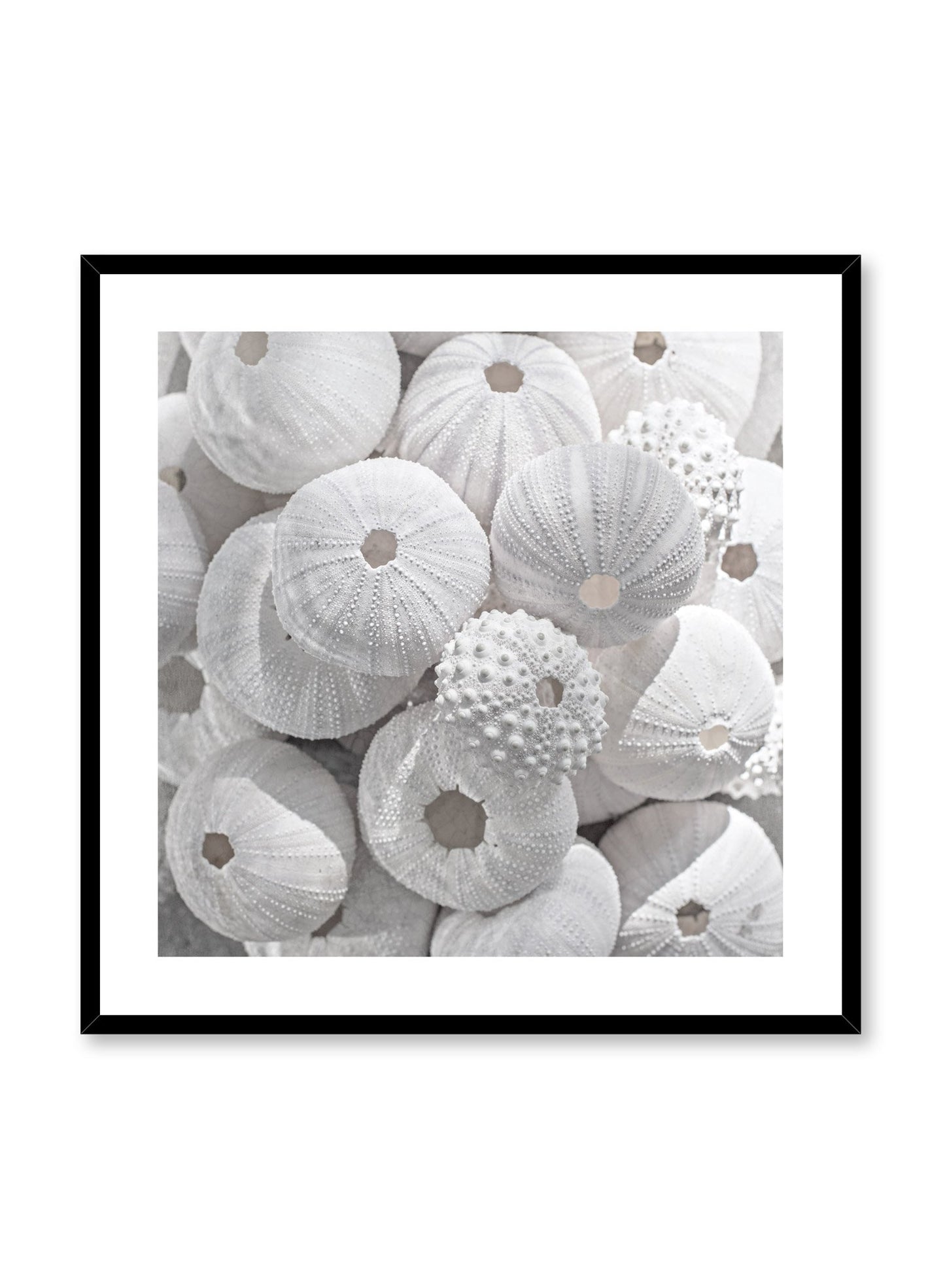Minimalist design photography poster of Sea Treasures by Love Warriors Creative Studio - Buy at Opposite Wall