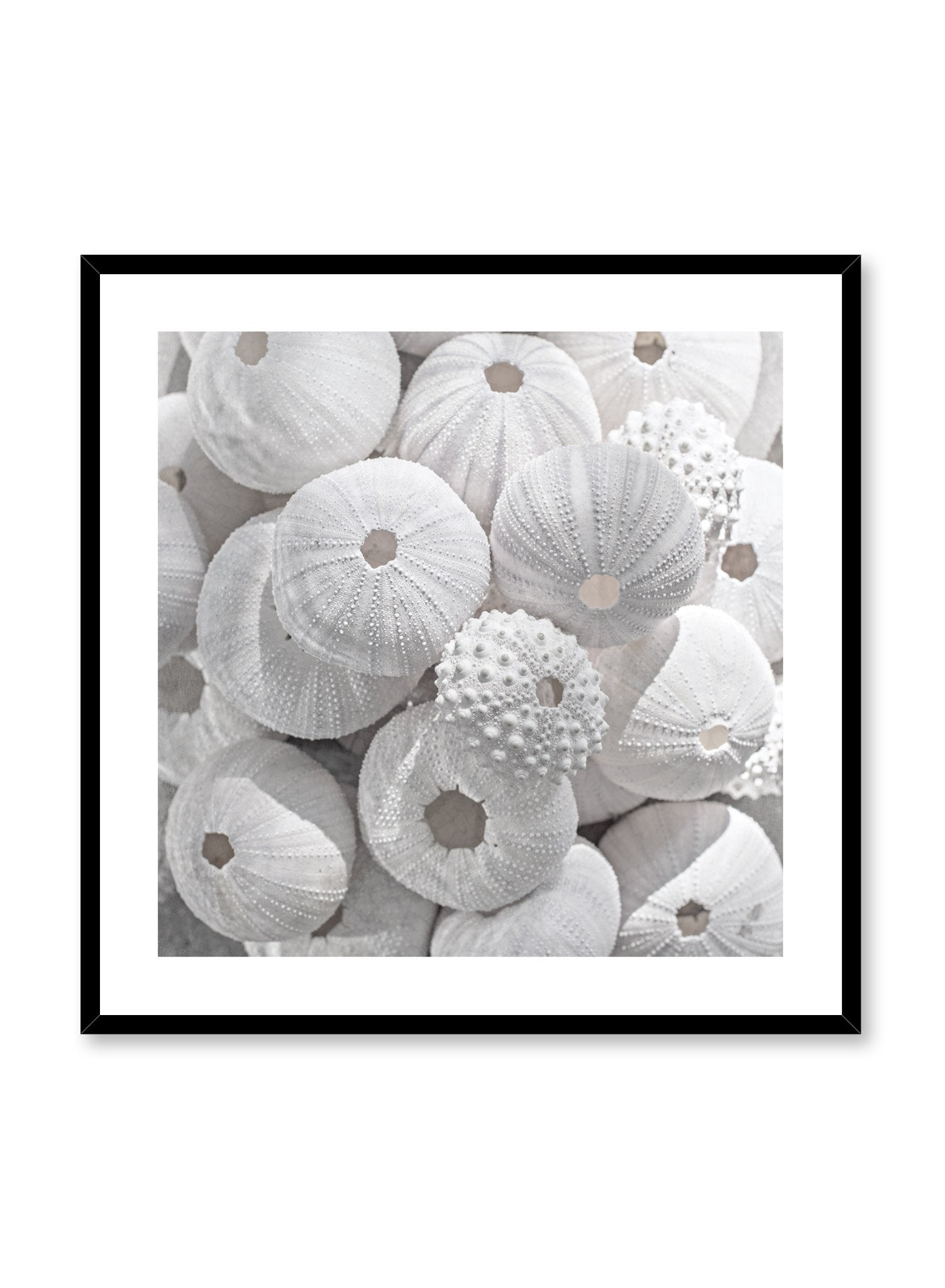 Minimalist design photography poster of Sea Treasures by Love Warriors Creative Studio - Buy at Opposite Wall