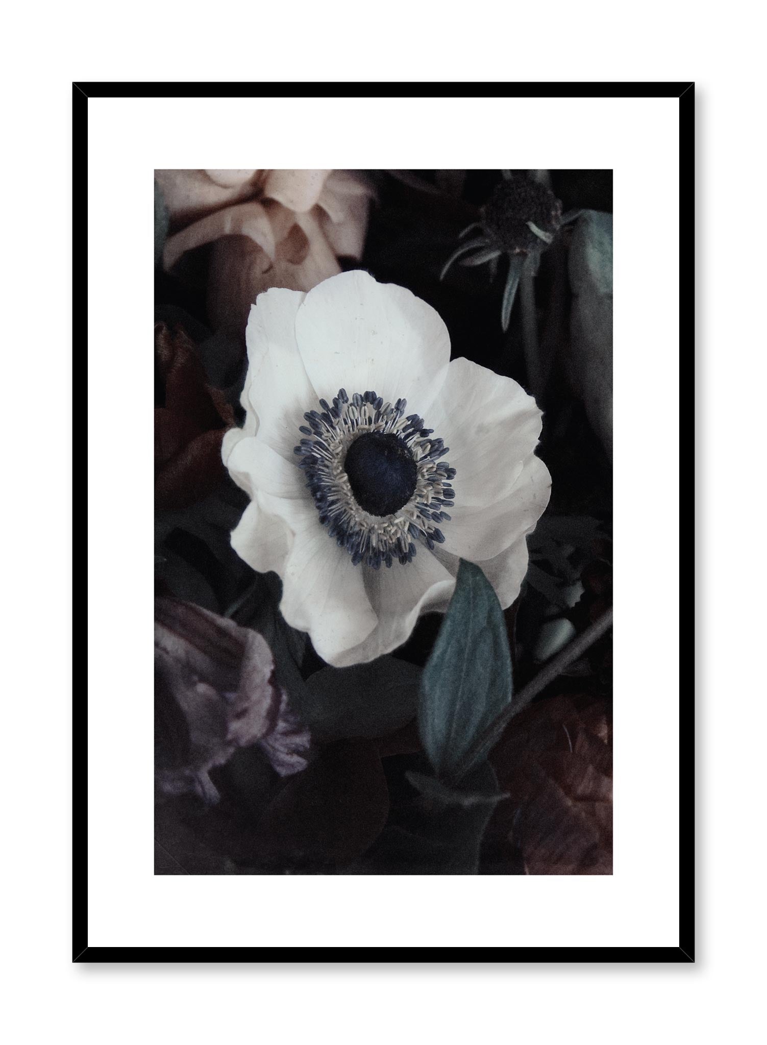 Minimalist design floral photography poster of White Flower by Love Warriors Creative Studio - Buy at Opposite Wall