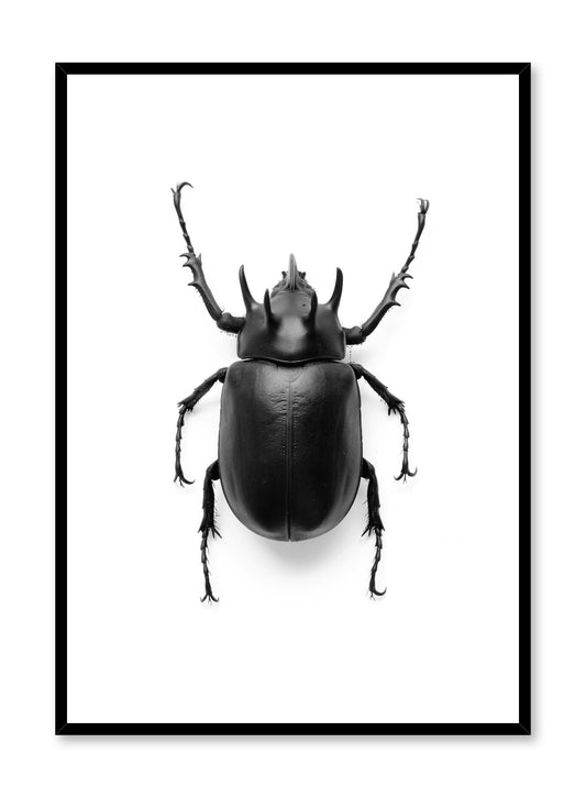 Minimalist design poster by Opposite Wall with black and white animal photography of Black Beetle Coleoptera