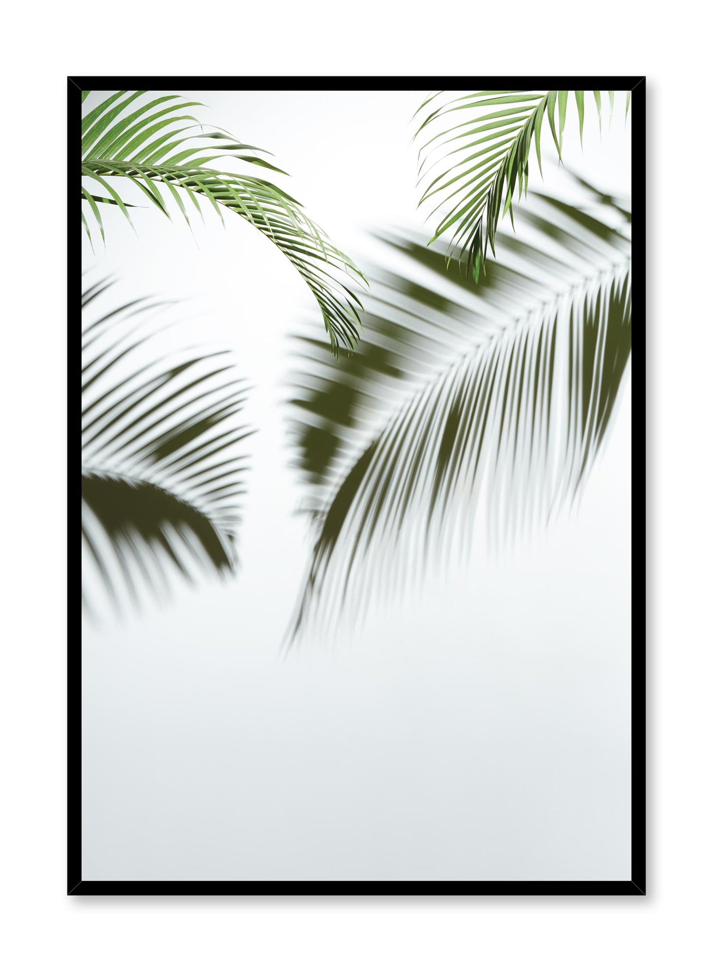 Minimalist design poster by Opposite Wall with nature photography of Tropic Blur palm leaves