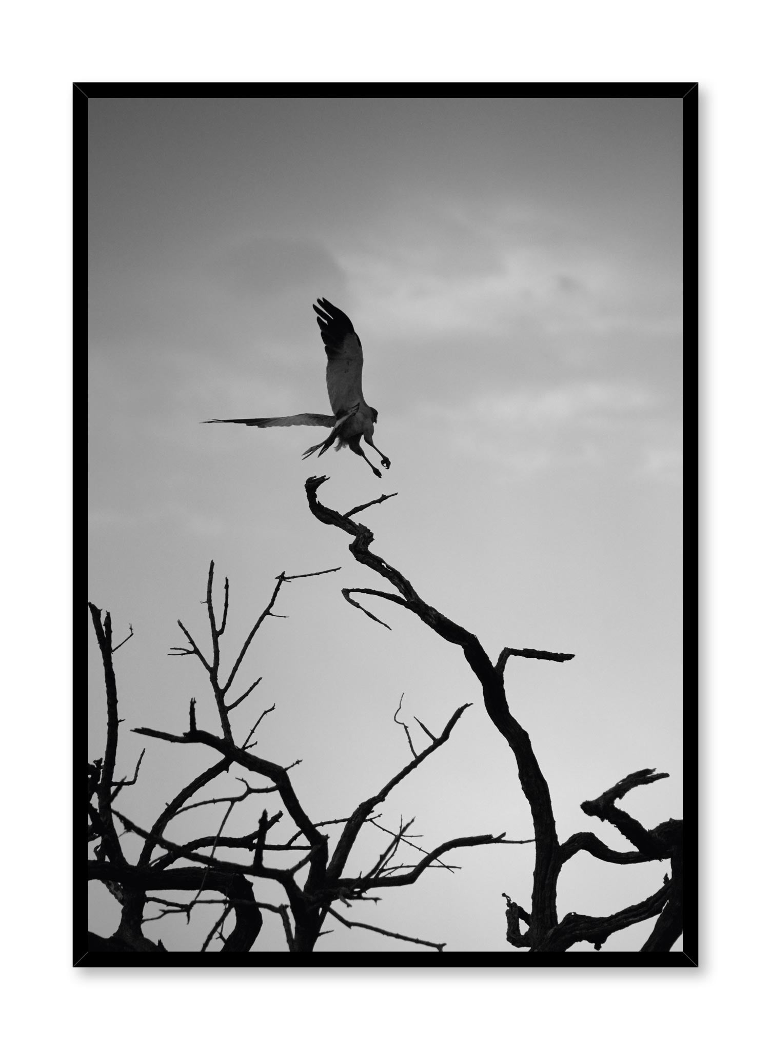 Minimalist design poster by Opposite Wall with black and white nature photography of Wild Thing