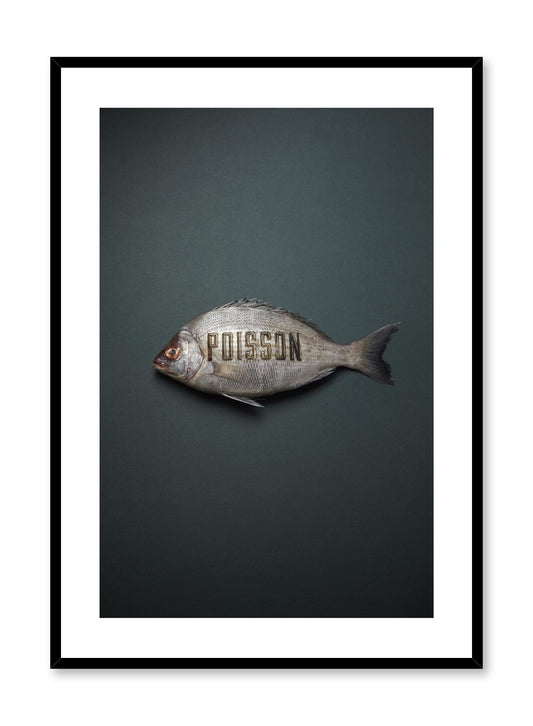 Minimalist poster by Opposite Wall with Poisson fish photography