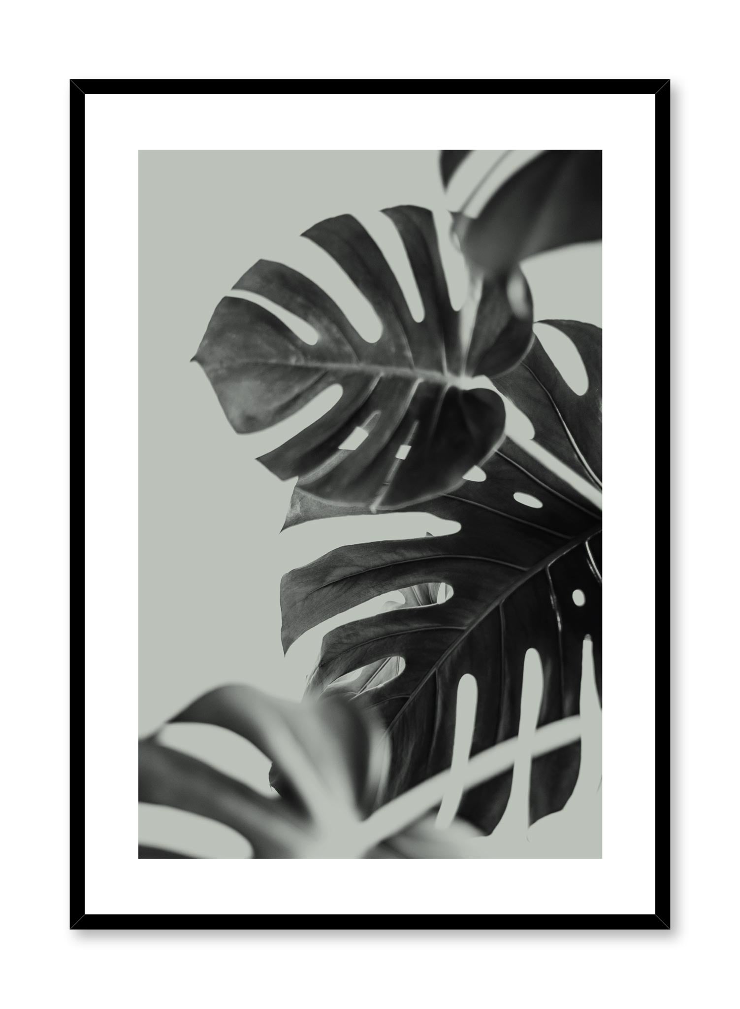 Modern minimalist art print by Opposite Wall with Monstera leaves art photo design in green