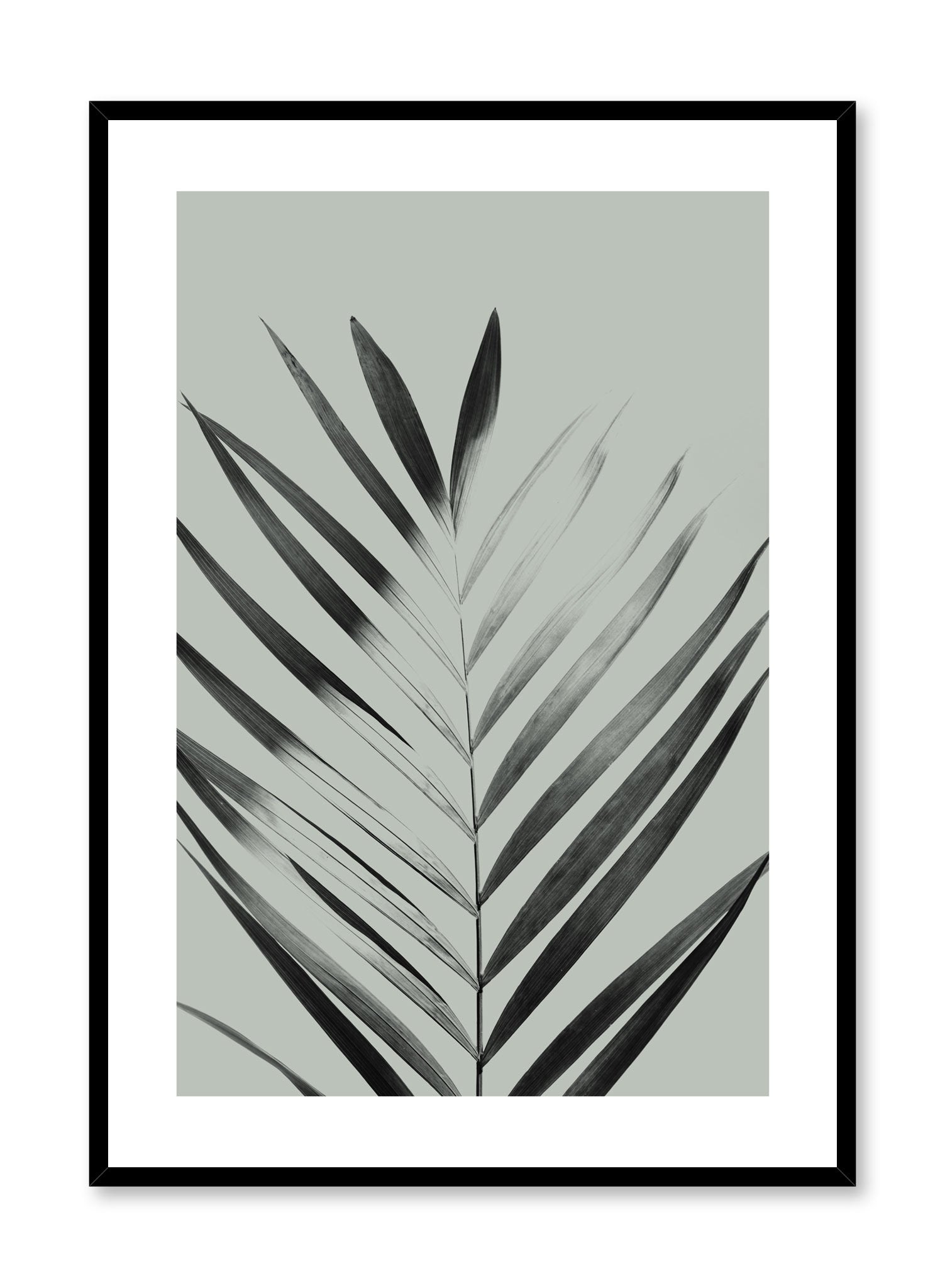 Modern minimalist poster by Opposite Wall with Sunlight palm leaf photo art in green