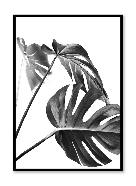 Scandinavian art print by Opposite Wall with with Monstera leaf photo Three's a charm in black and white