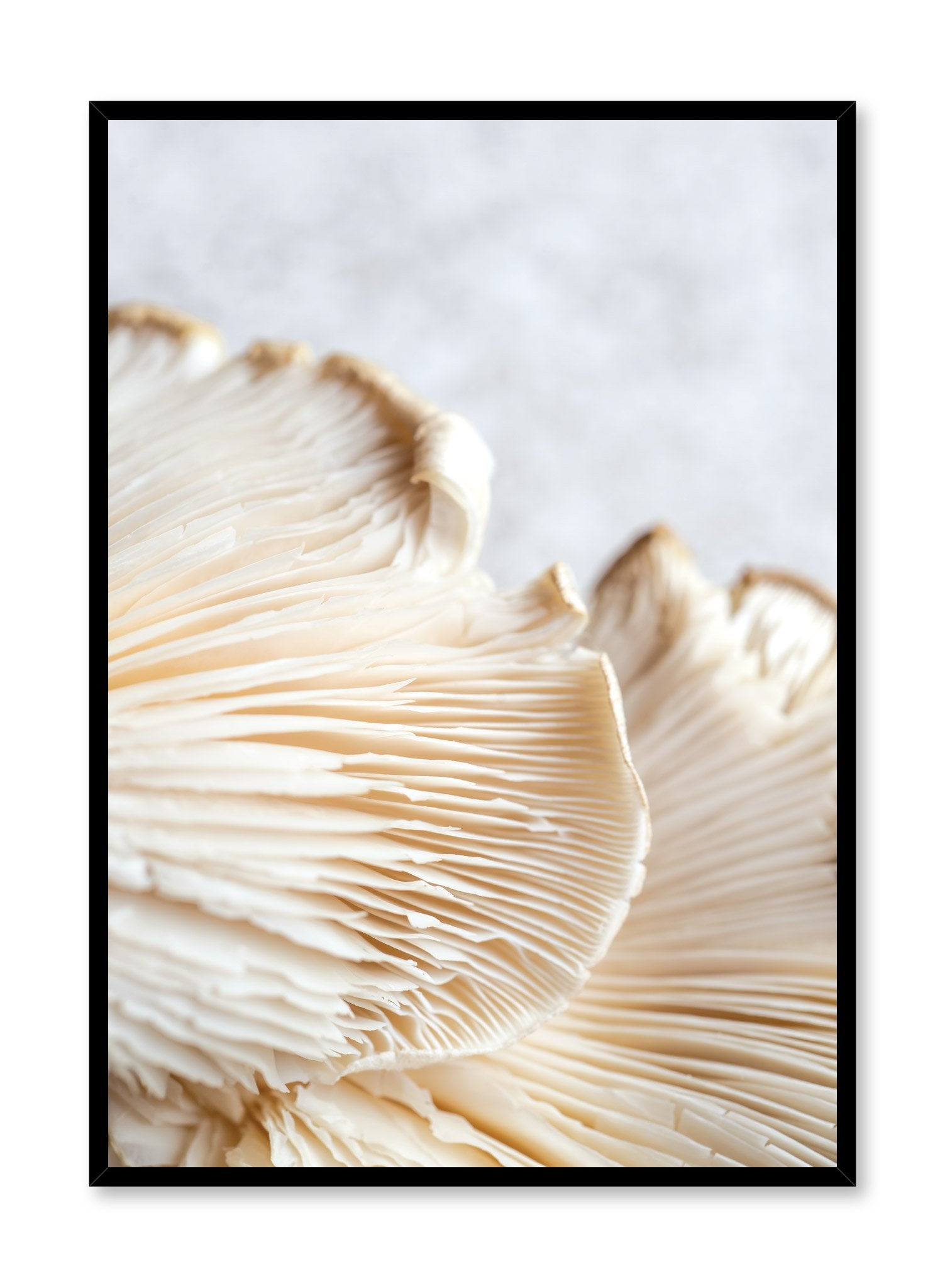 Minimalist poster by Opposite Wall with Mushroom Detail food photography