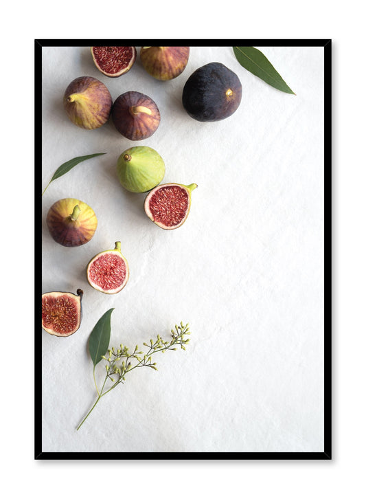 Figs Poster - Photography - Opposite Wall