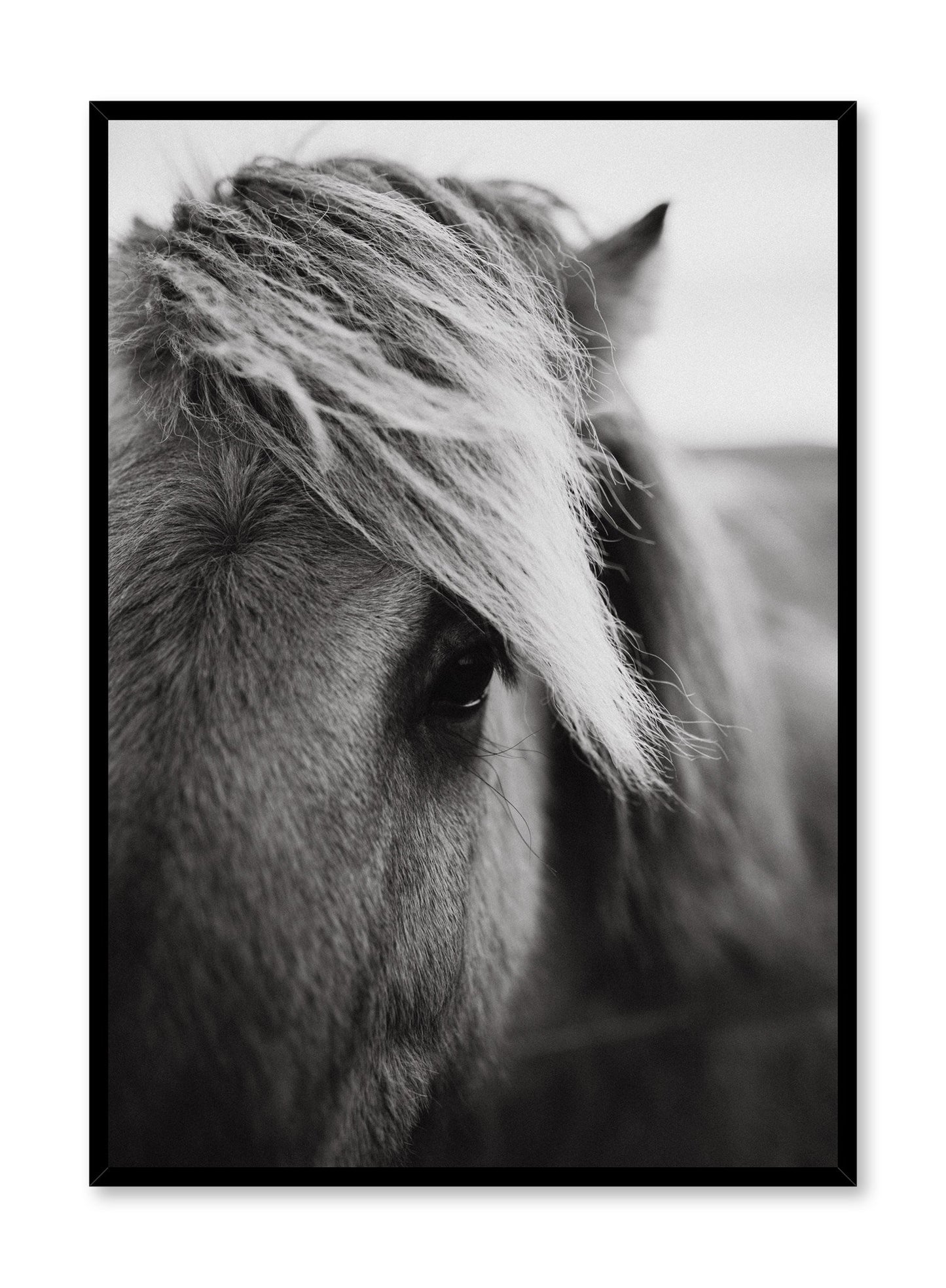 Modern minimalist poster by Opposite Wall with black and white photography of horse