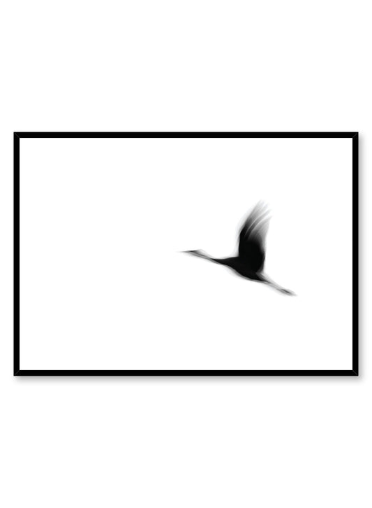 Modern minimalist photography by Opposite Wall with black and white photography of bird in flight