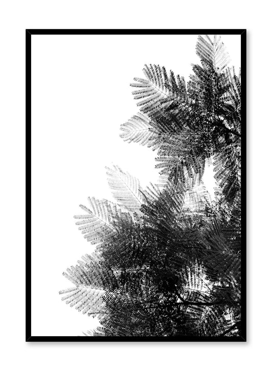 Modern minimalist poster by Opposite Wall with black and white photography of pine tree
