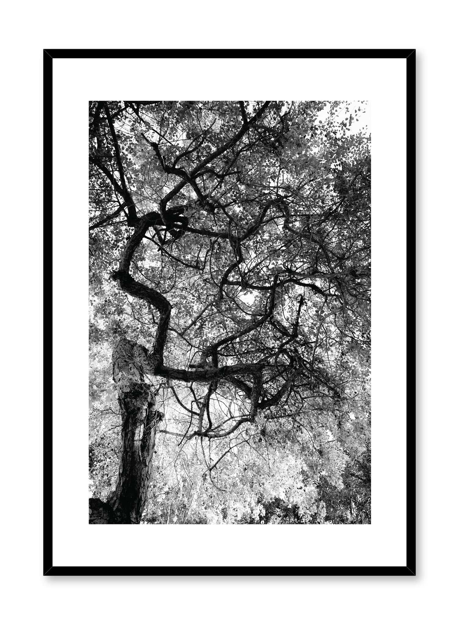 Modern minimalist poster by Opposite Wall with black and white photography of dense foliage