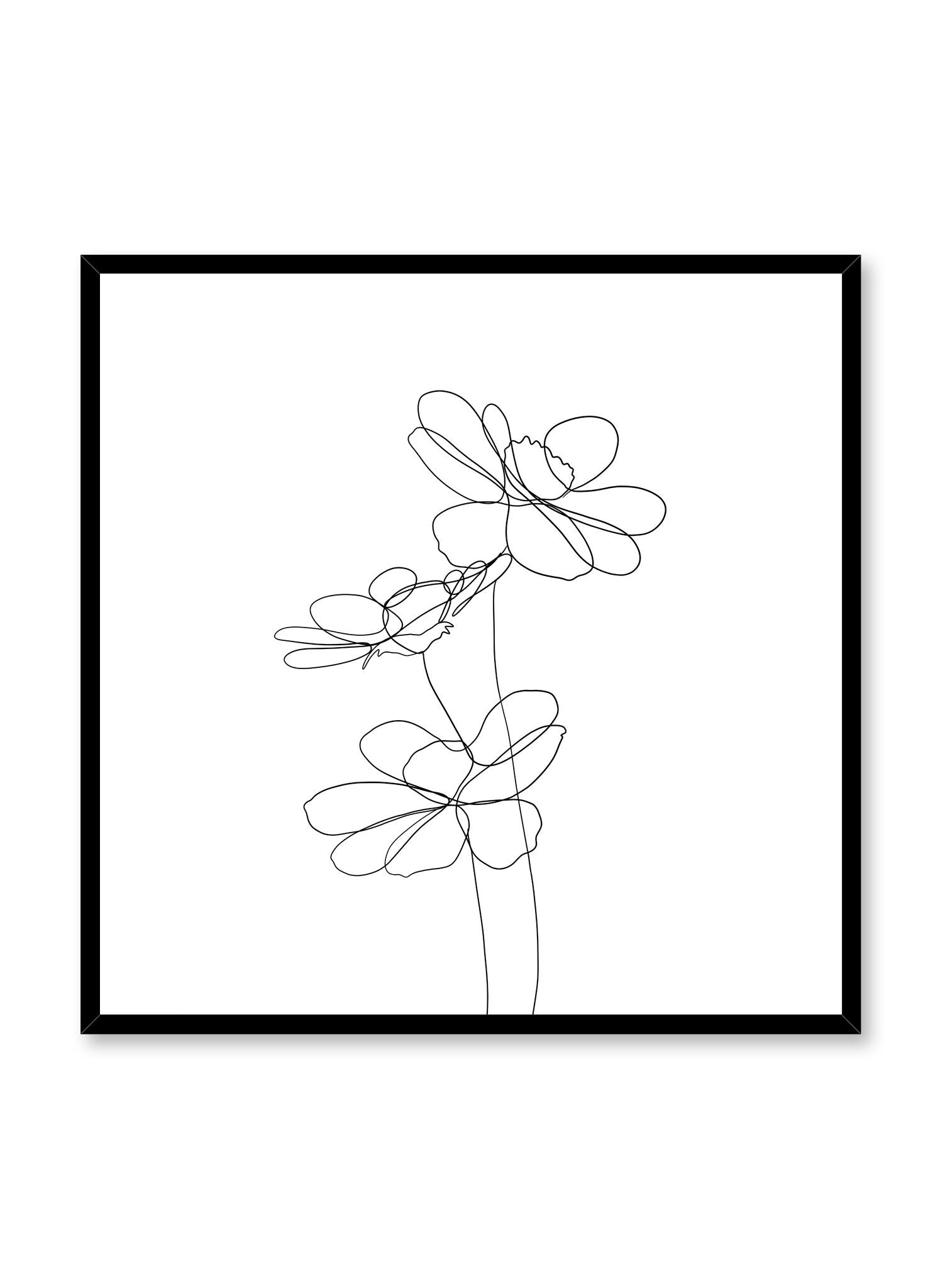 Modern minimalist delicate line art poster by Opposite Wall - Pretty Petals in square format