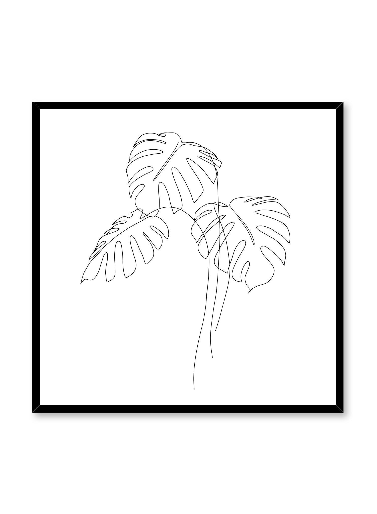 Modern minimalist poster by Opposite Wall with monstera leaf illustration - Monstera Trio in square format