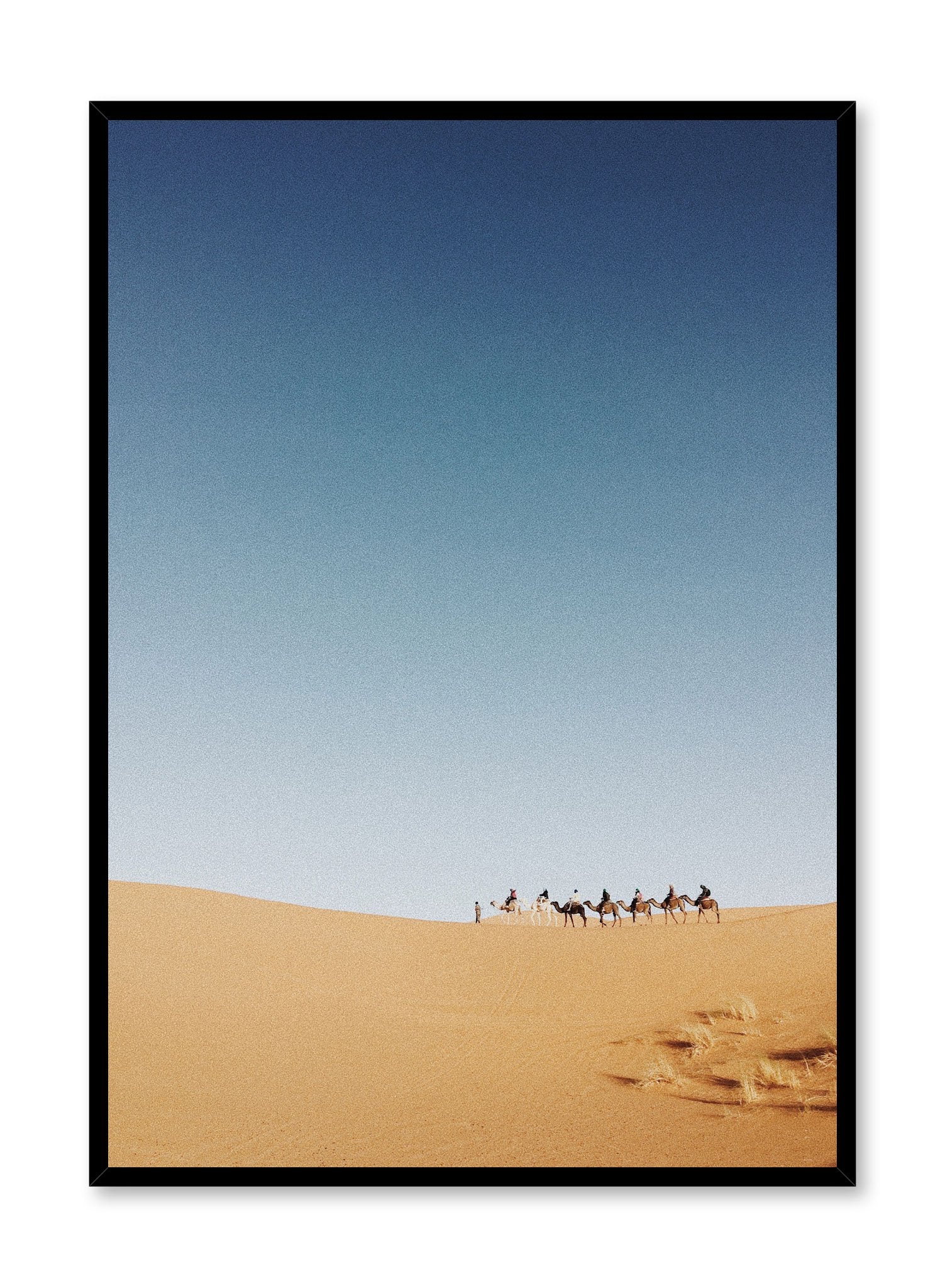 Modern minimalist poster by Opposite Wall with photography of camel Caravan in Sahara Desert