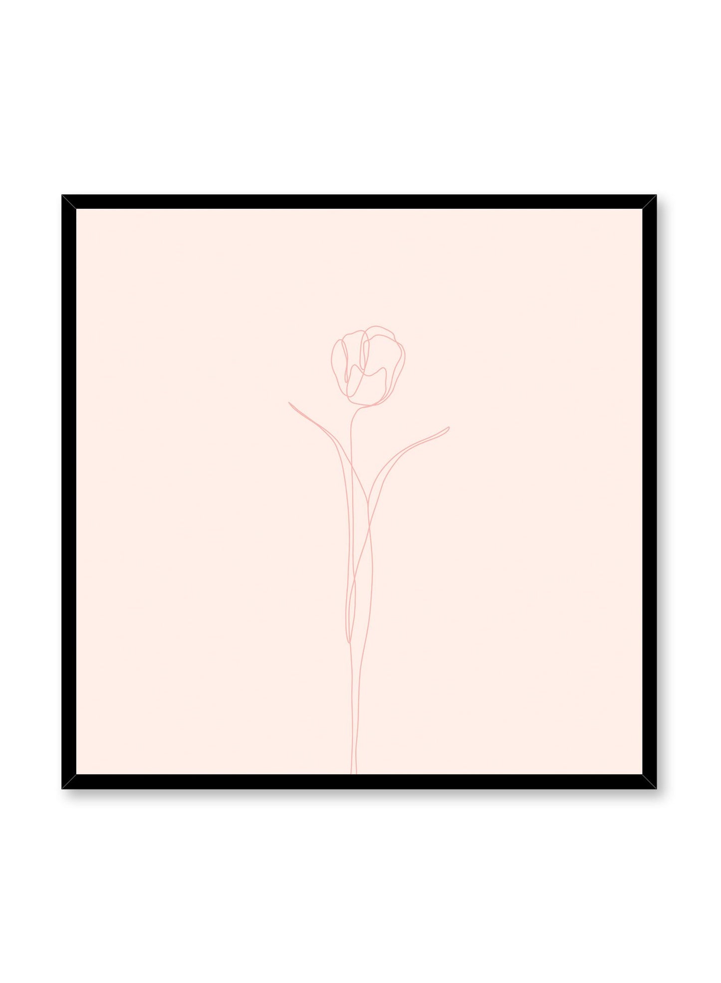 Modern minimalist poster by Opposite Wall with abstract illustration of Tulip in pink